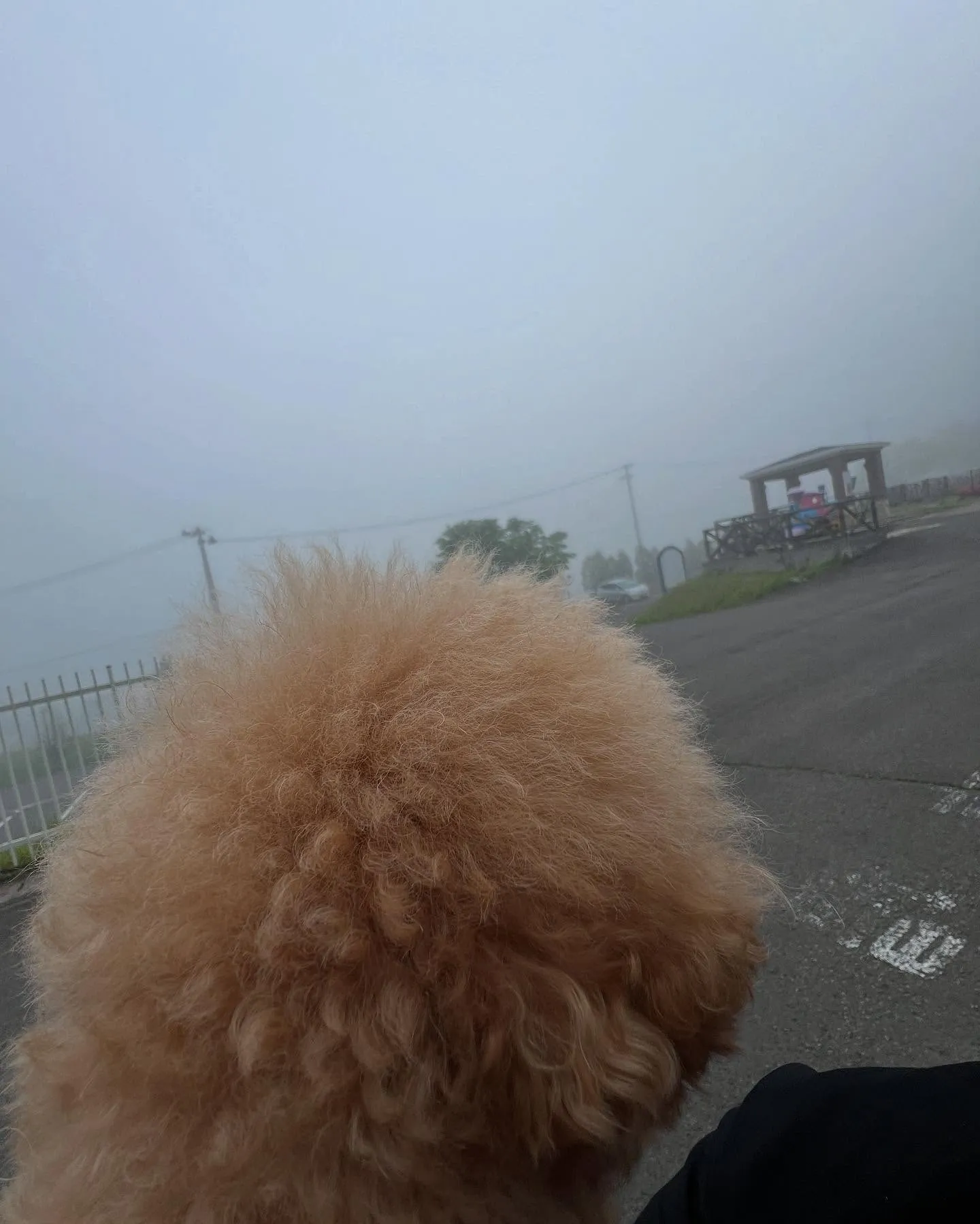 皆様、こんにちは！🍃❄️ 仙台地域で最高のエアコン体験を提供...