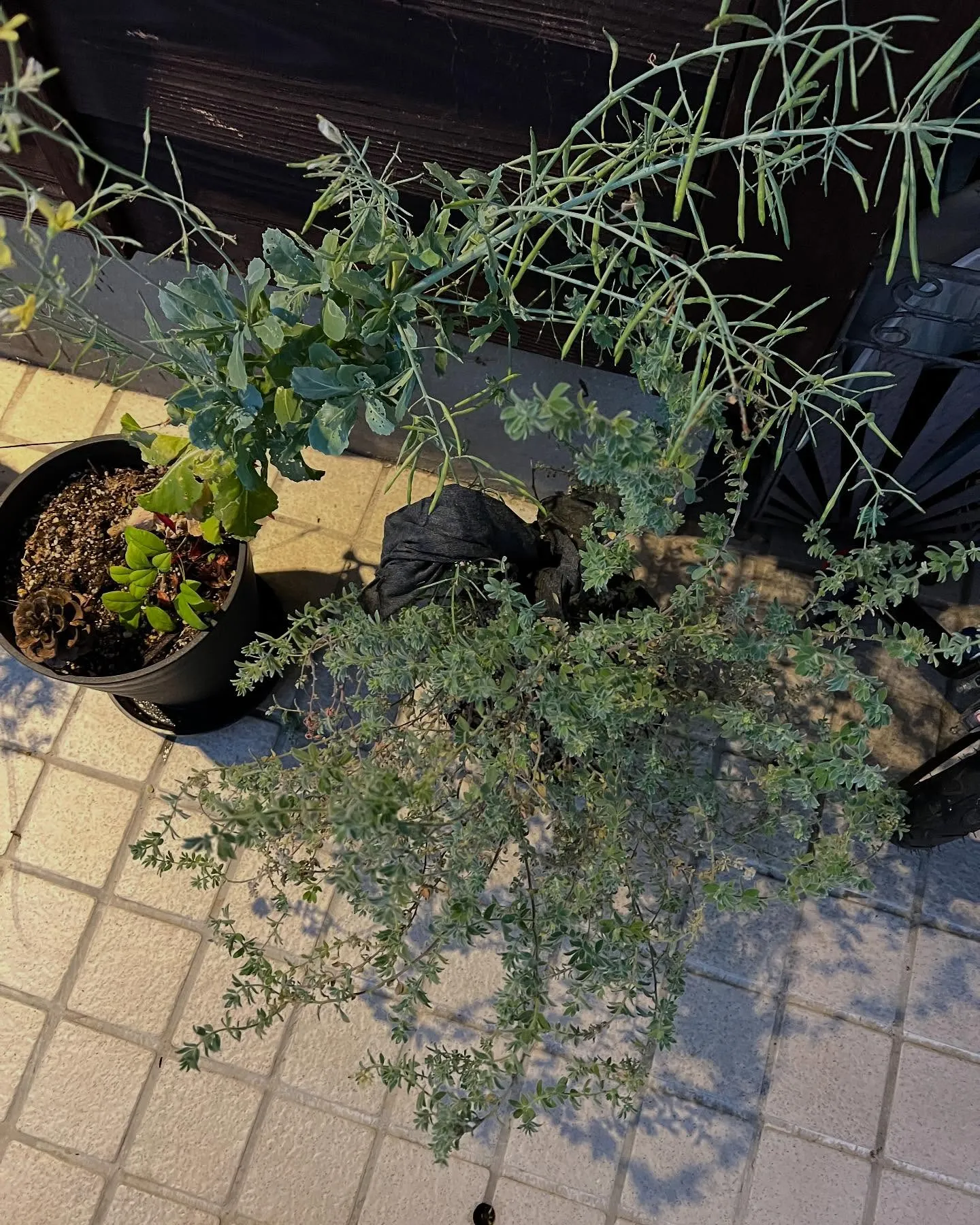 仙台エアコン祭りが愛子で開催中です！🌬️快適な暮らしをサポー...