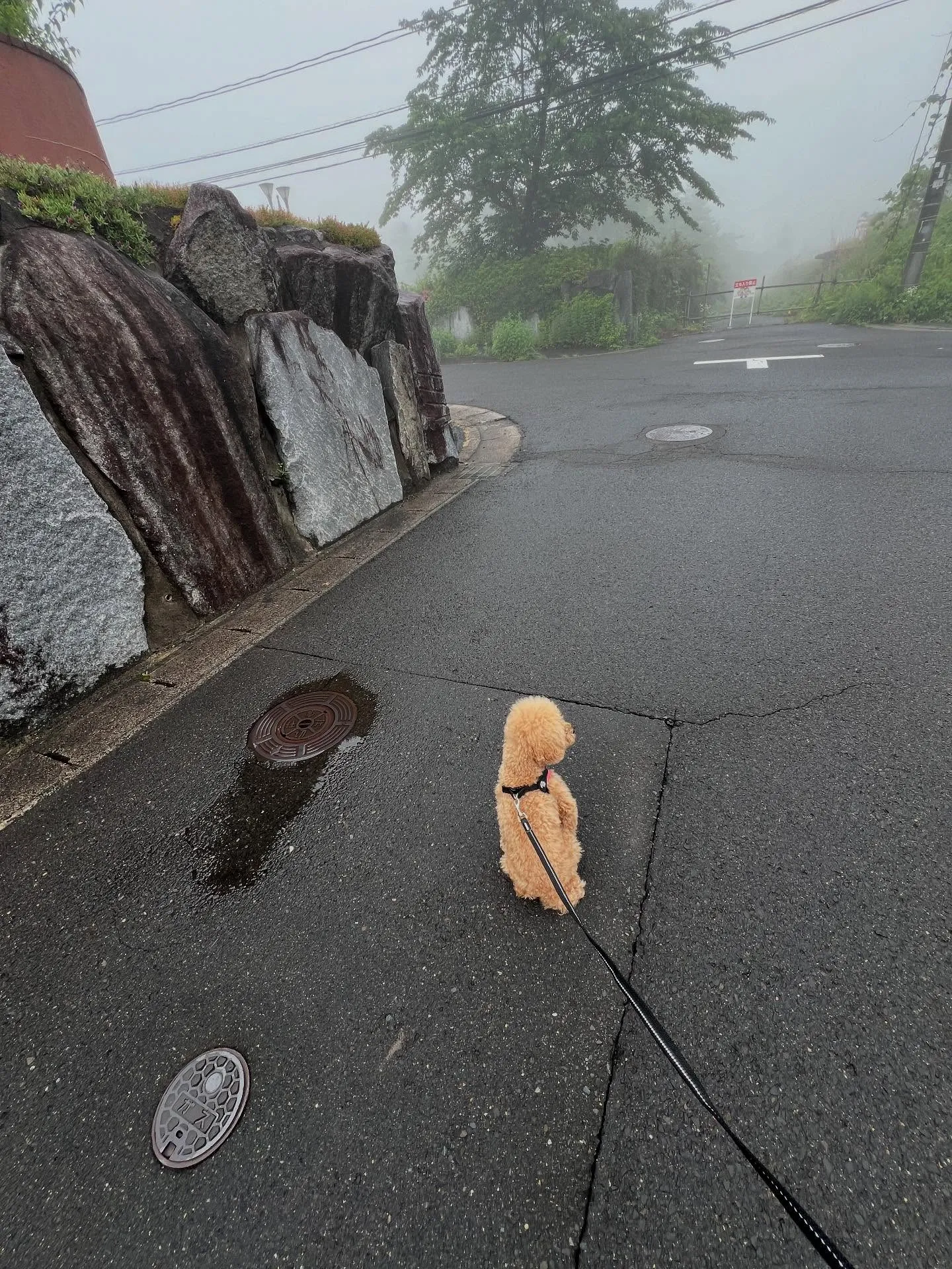 仙台で業務用エアコンに関するお悩みをお持ちの皆様へ🌿。