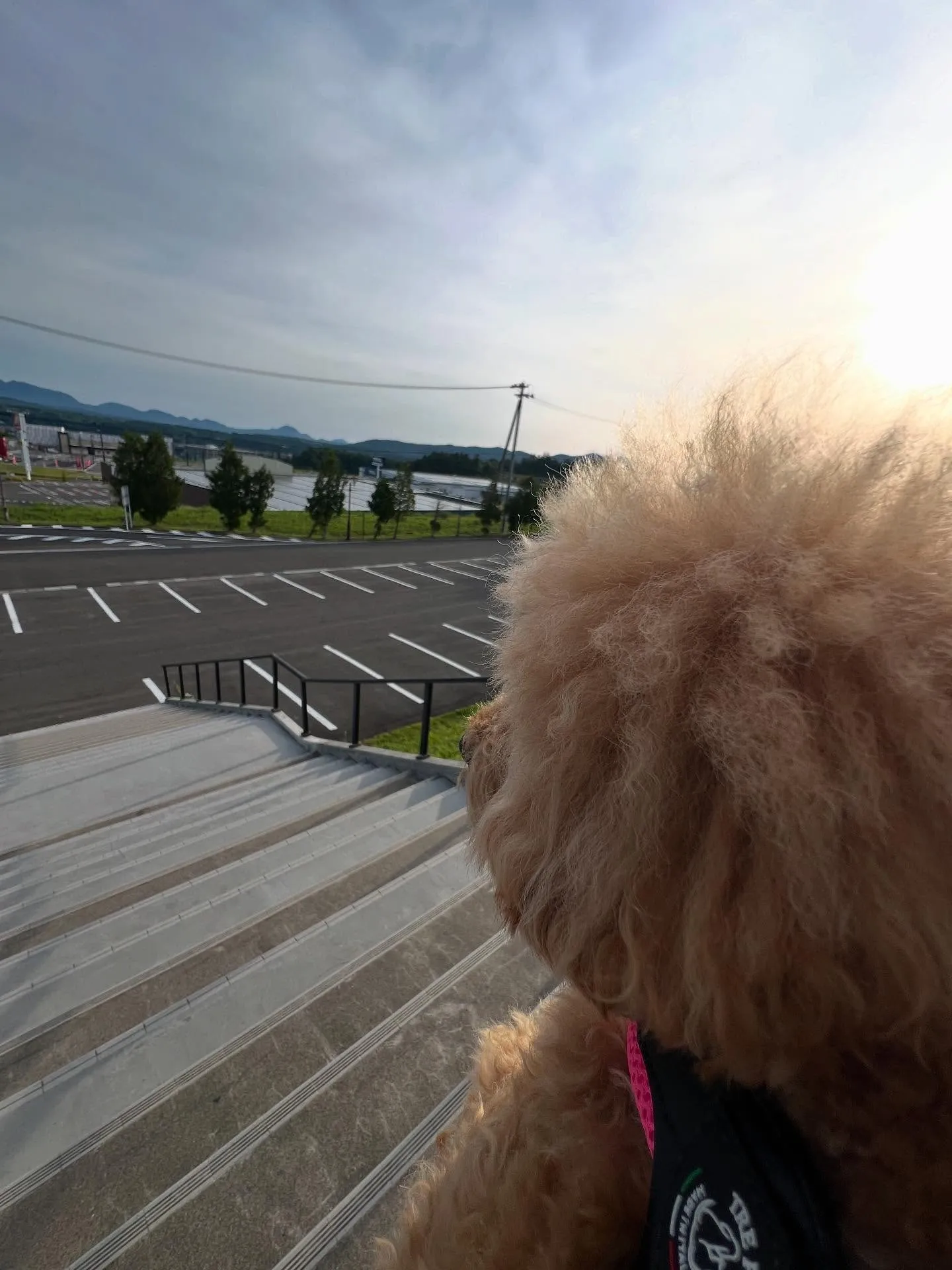 仙台業務用エアコン何でも相談所からのご案内です🌞！仙台の夏、...