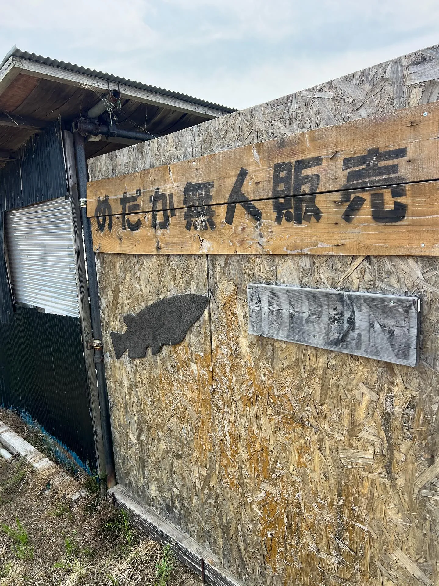 仙台にも夏がやってきましたね☀️。