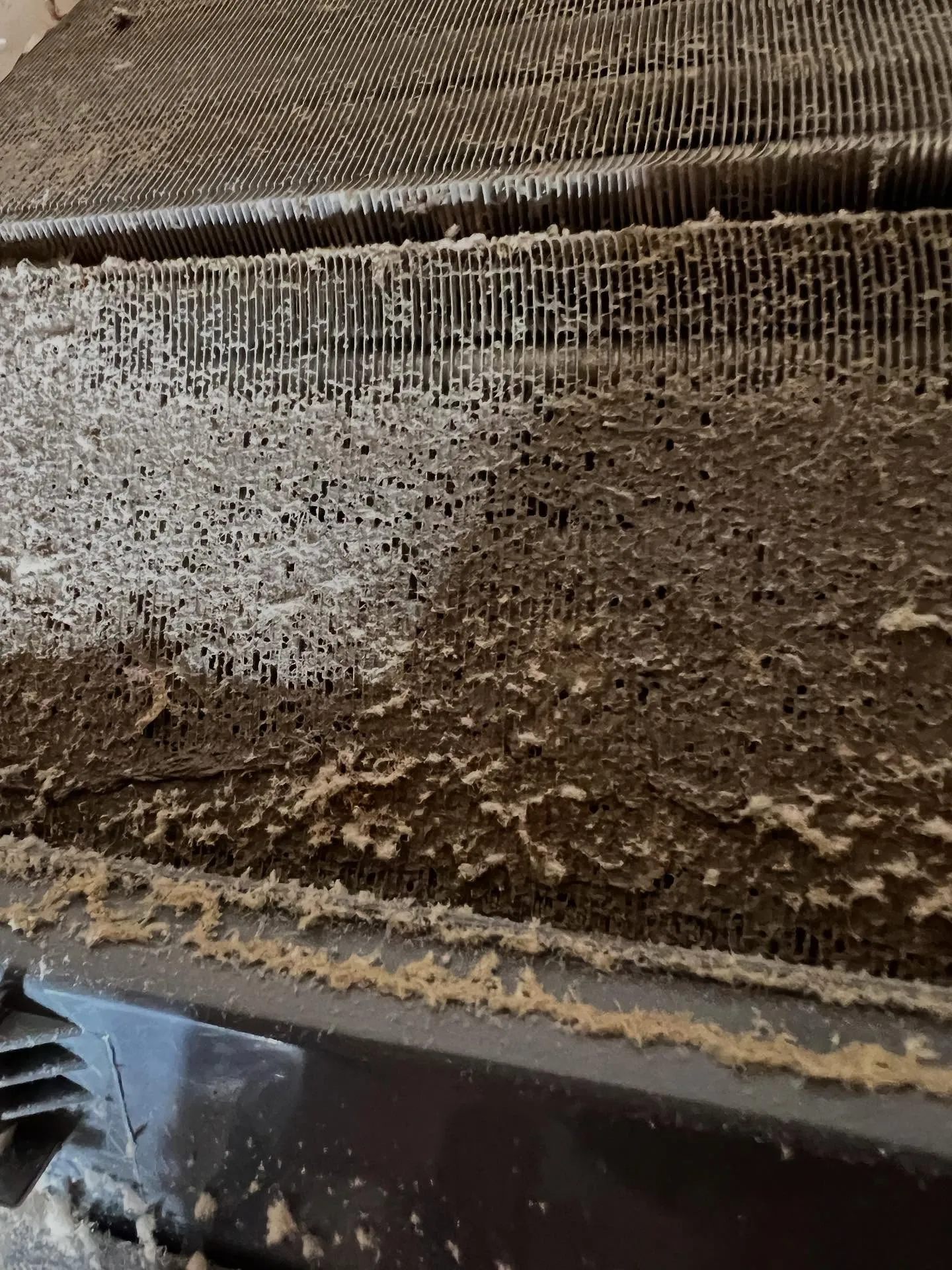 仙台での生活をさらに快適にするための頼れる味方、「仙台エアコ...