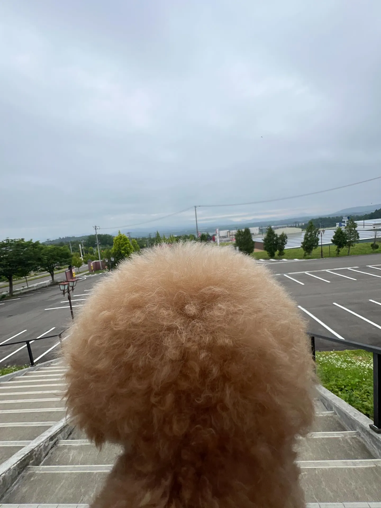 🌟仙台エアコン祭り開催中！🌟
