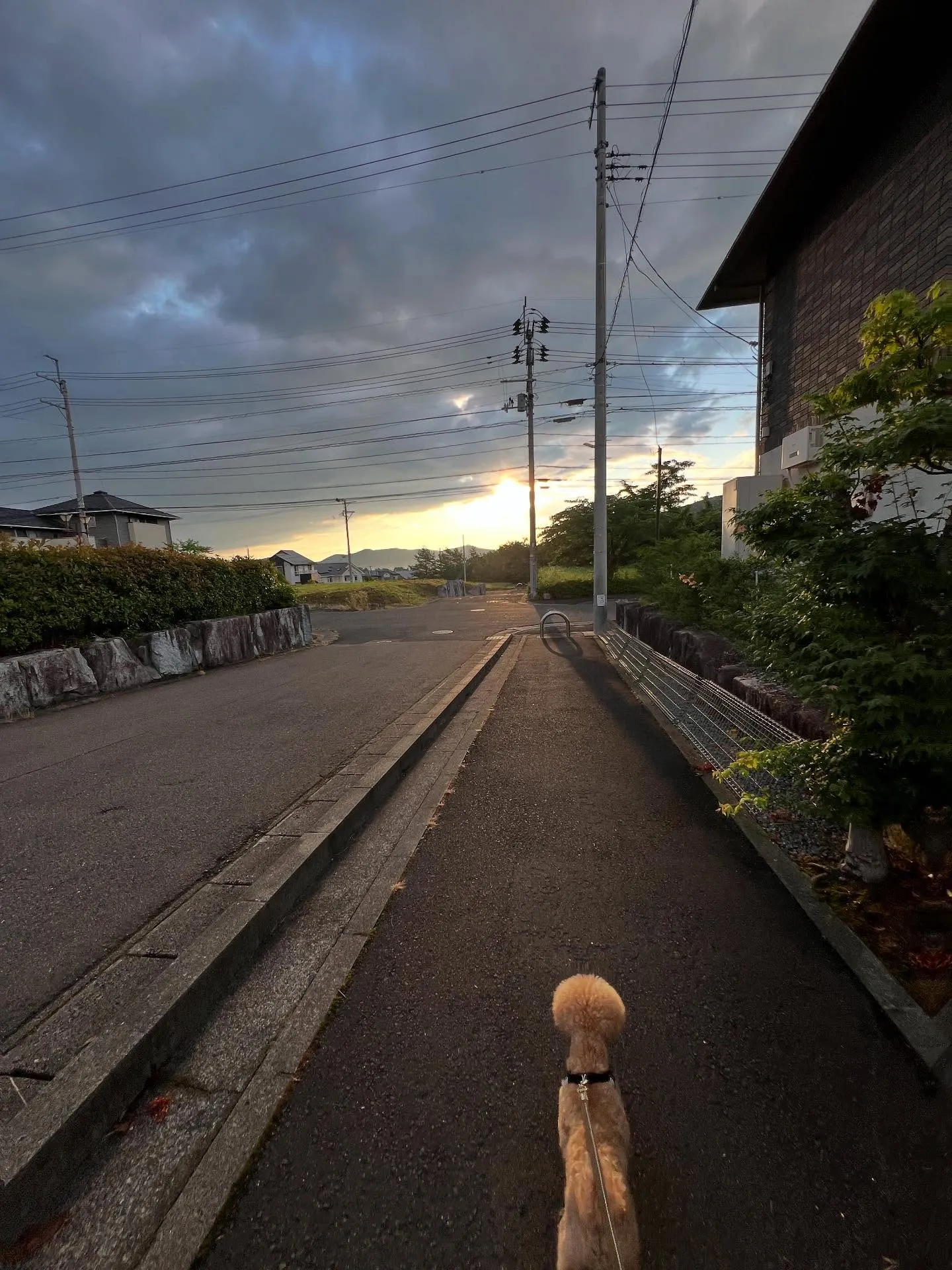 宮城県の皆さま、こんにちは🌟。