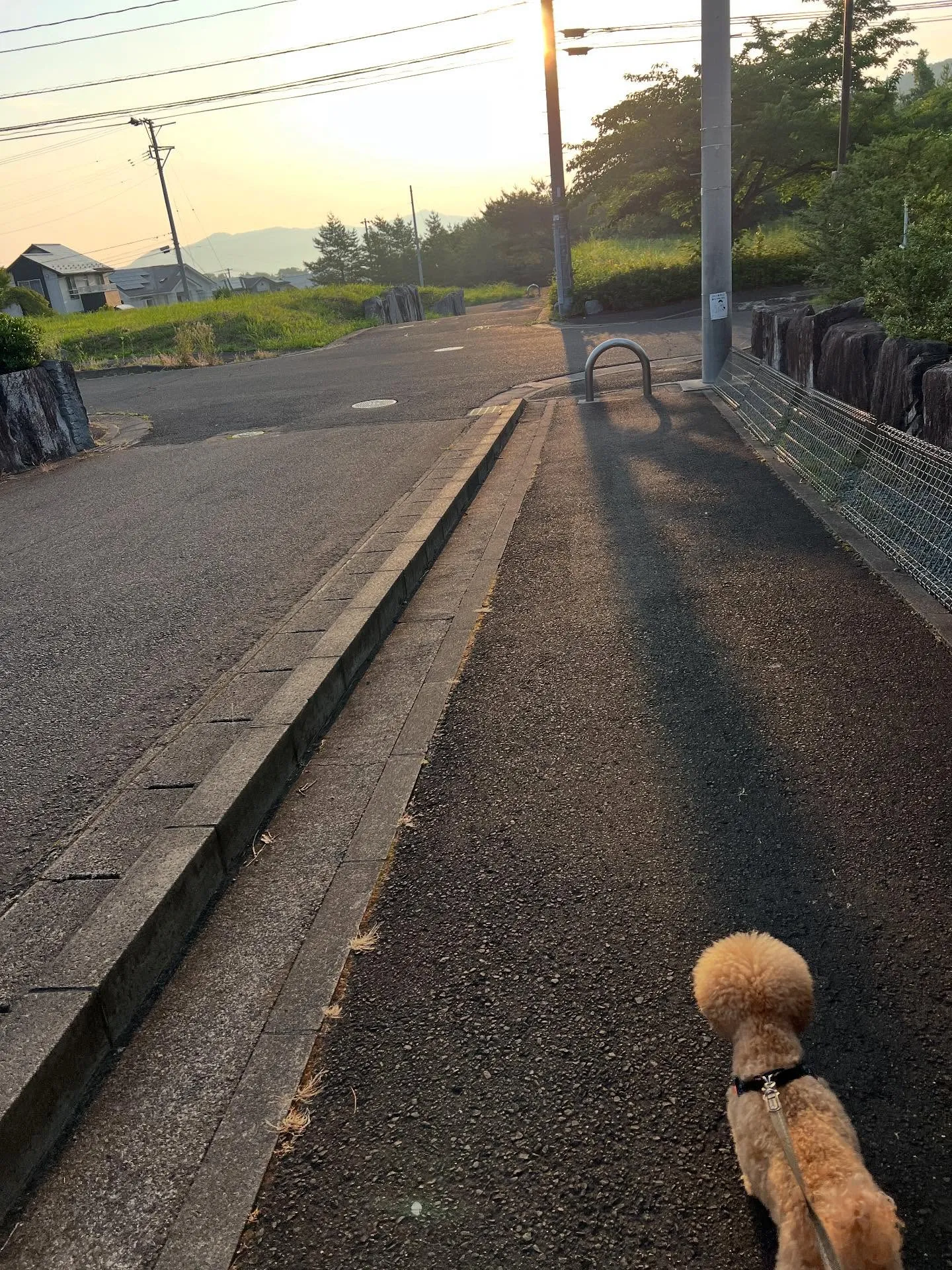 仙台でエアコン祭り開催中！🎉暑さを我慢せず、思いっきり快適な...