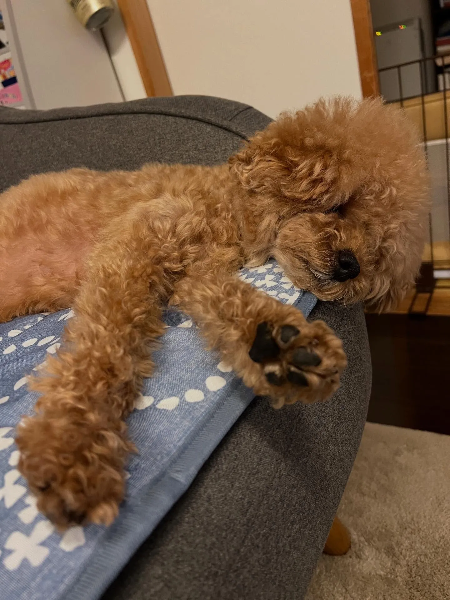🌟 仙台エアコンクリニックでは、エアコンに関するすべてのご要...