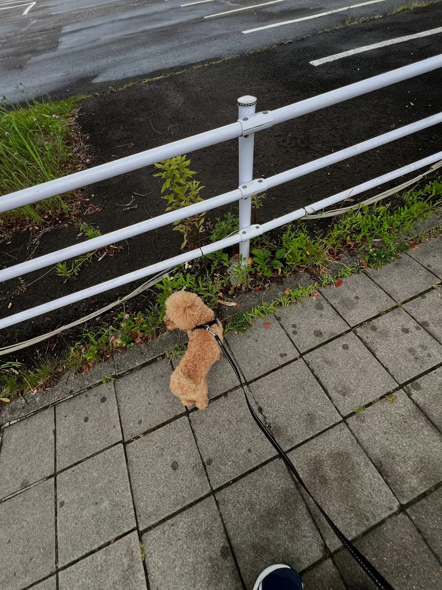 仙台情熱何でも相談所。