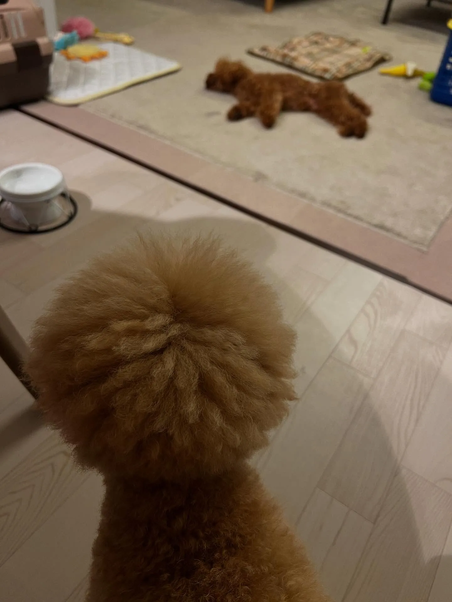 仙台に住んでいる皆さん！お部屋やお仕事場の快適度をグンと上げ...