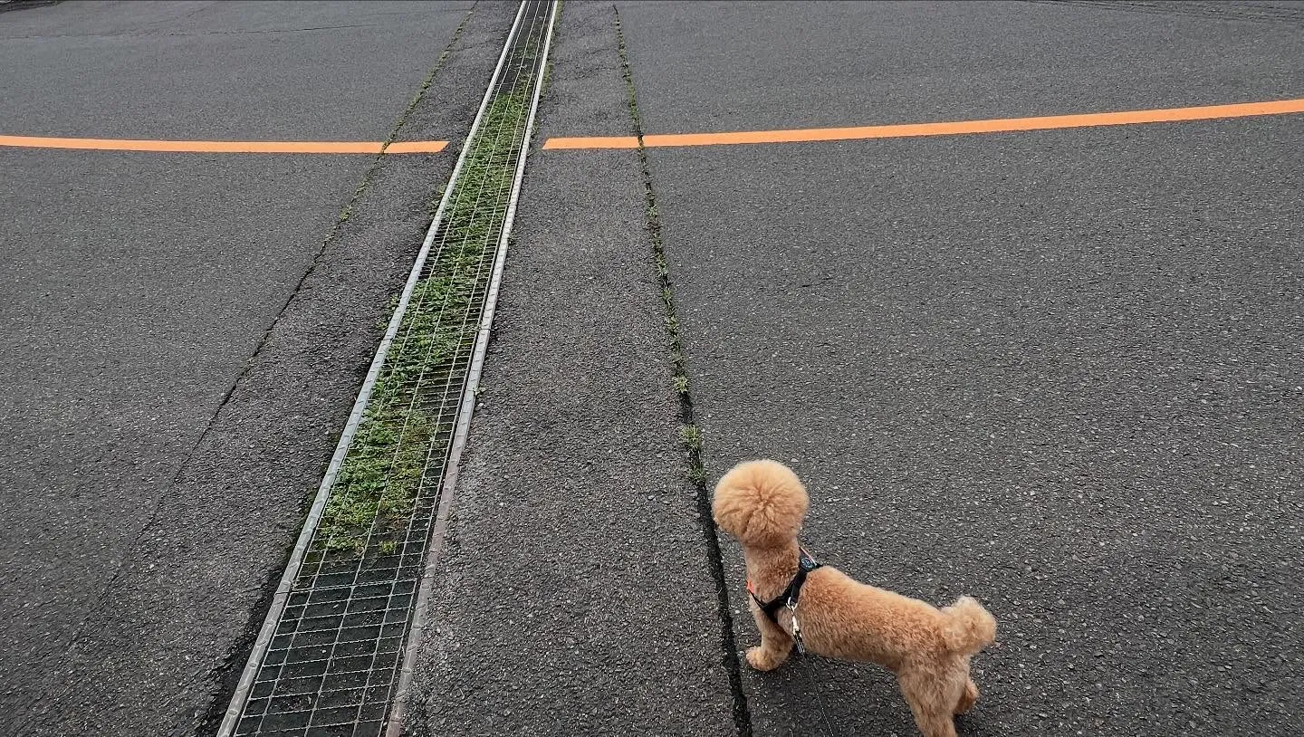 仙台相談所。