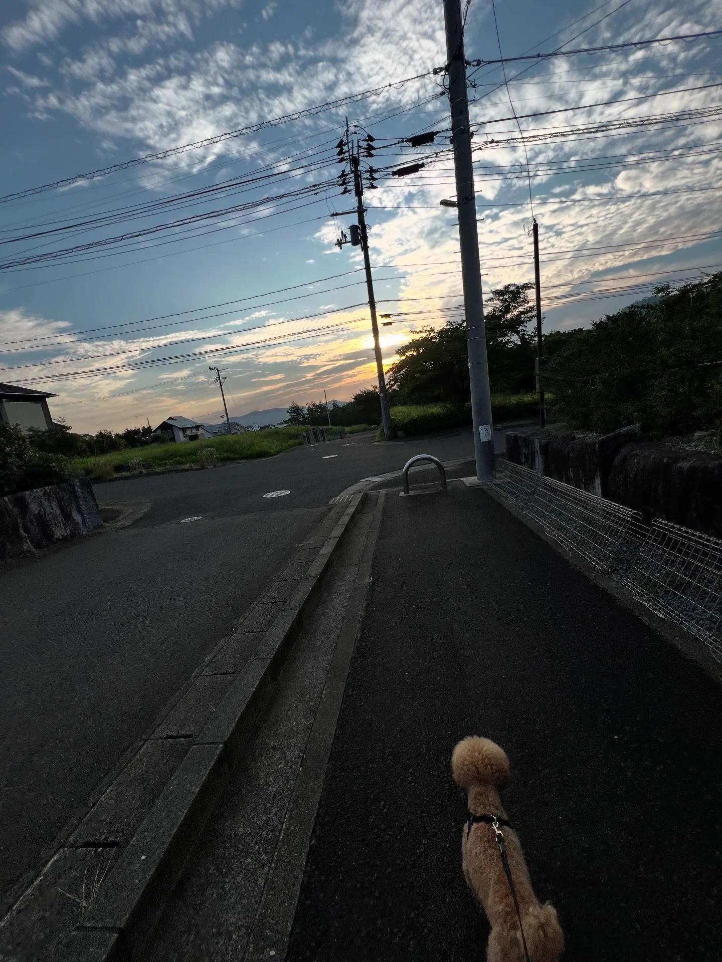 仙台の皆さん、この夏を涼しく過ごす準備はできていますか？🌞❄...