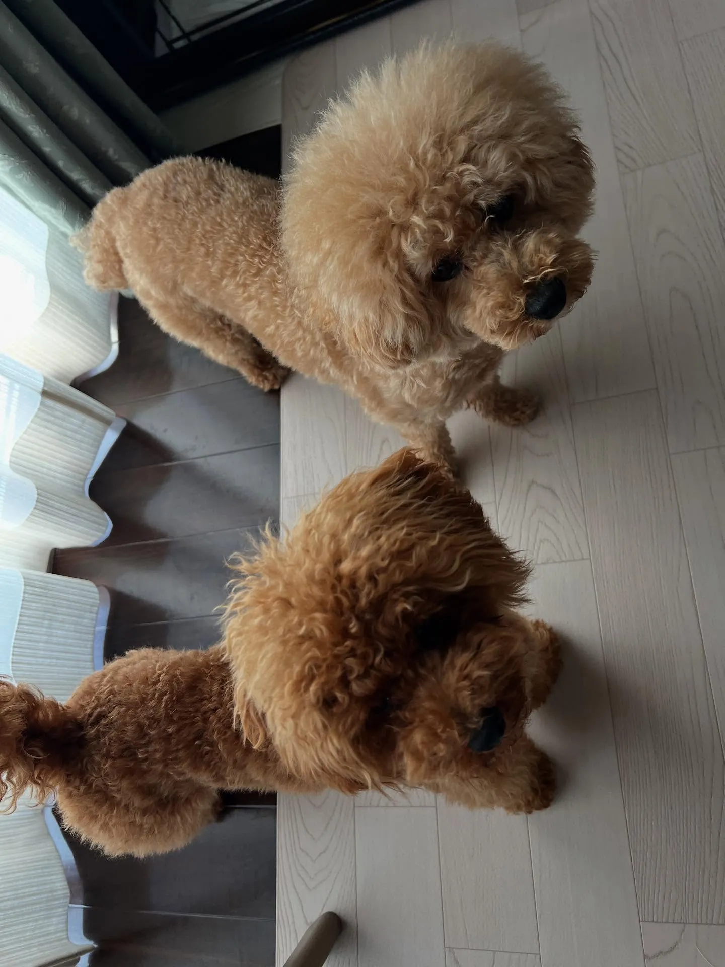 仙台で業務用エアコンに関するお悩み解決します。
