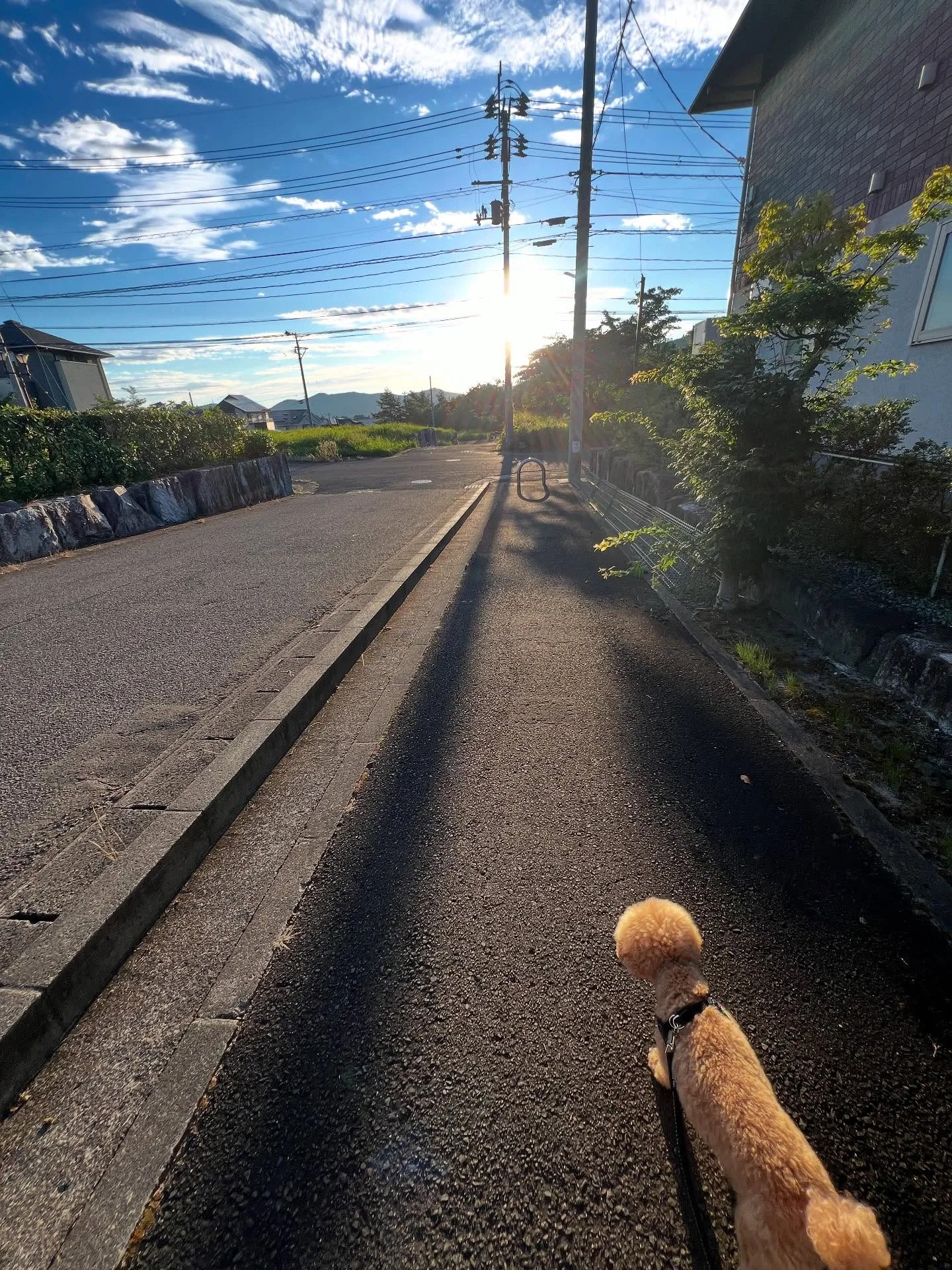 仙台で快適空間を作るなら、私たちにお任せ！🌟 夏の暑さに負け...