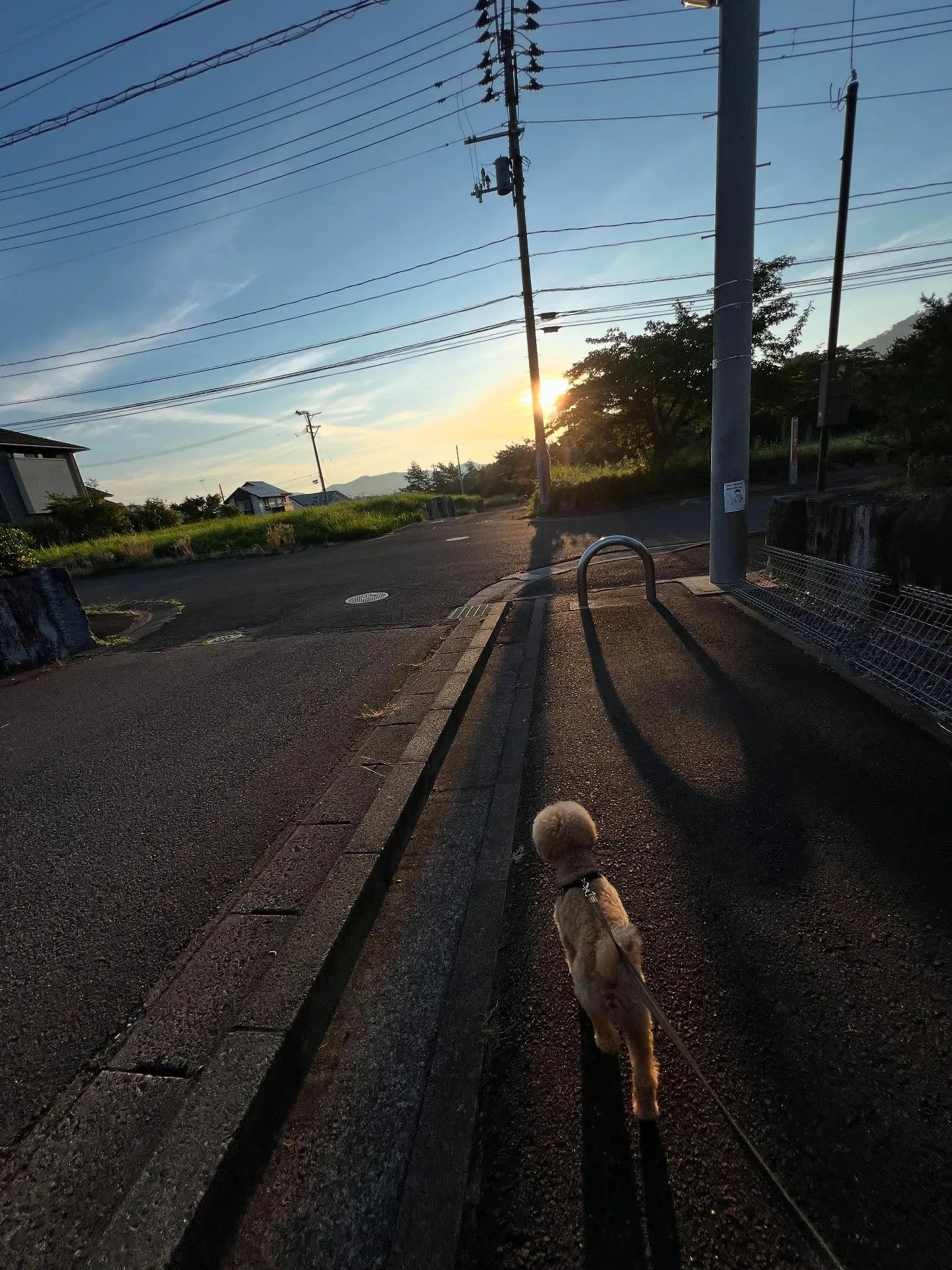 仙台での暑い夏をもっと快適にしませんか？☀️そんな時は、仙台...