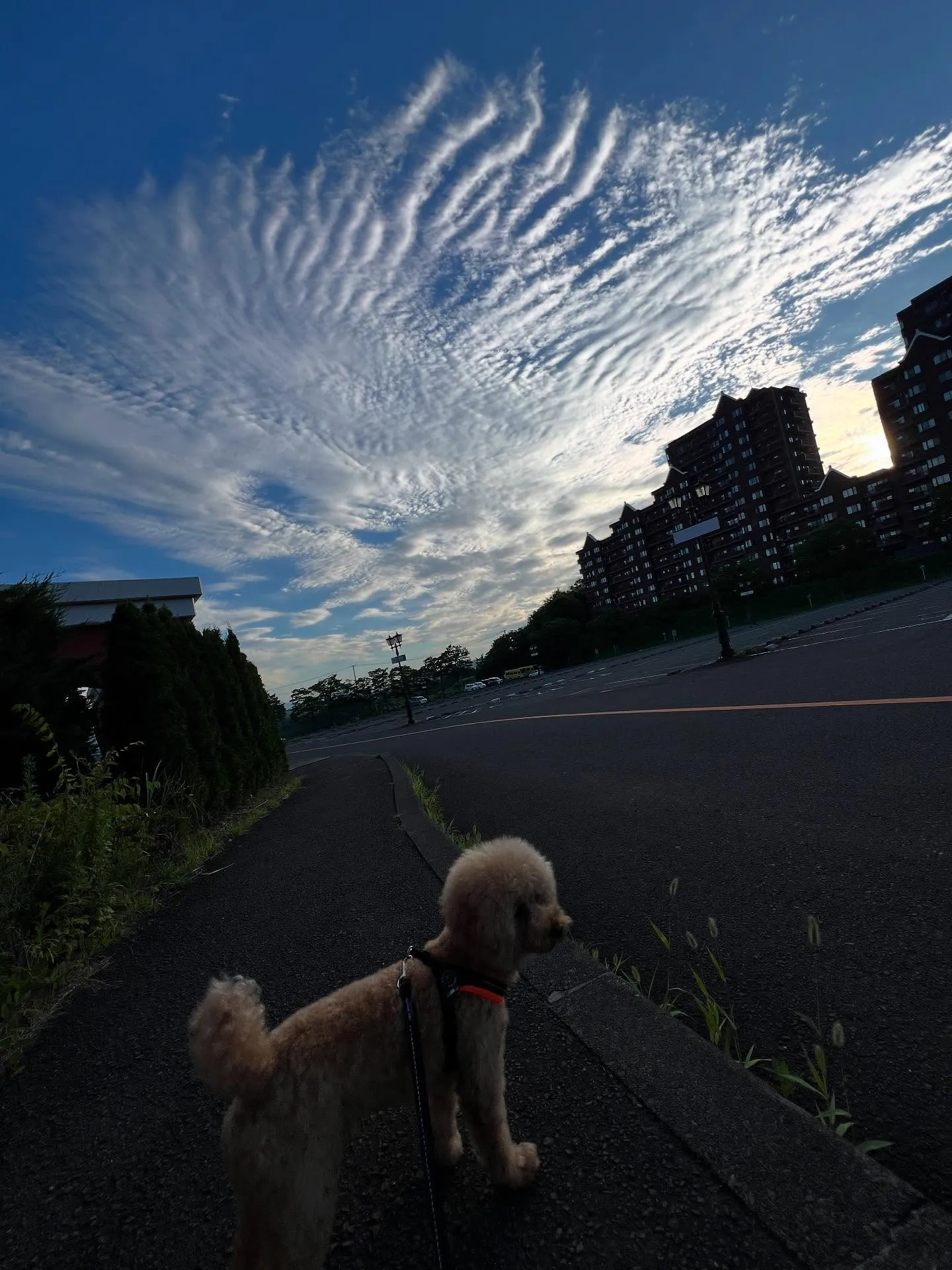 仙台での暑い夏をもっと快適にしませんか？☀️そんな時は、仙台...