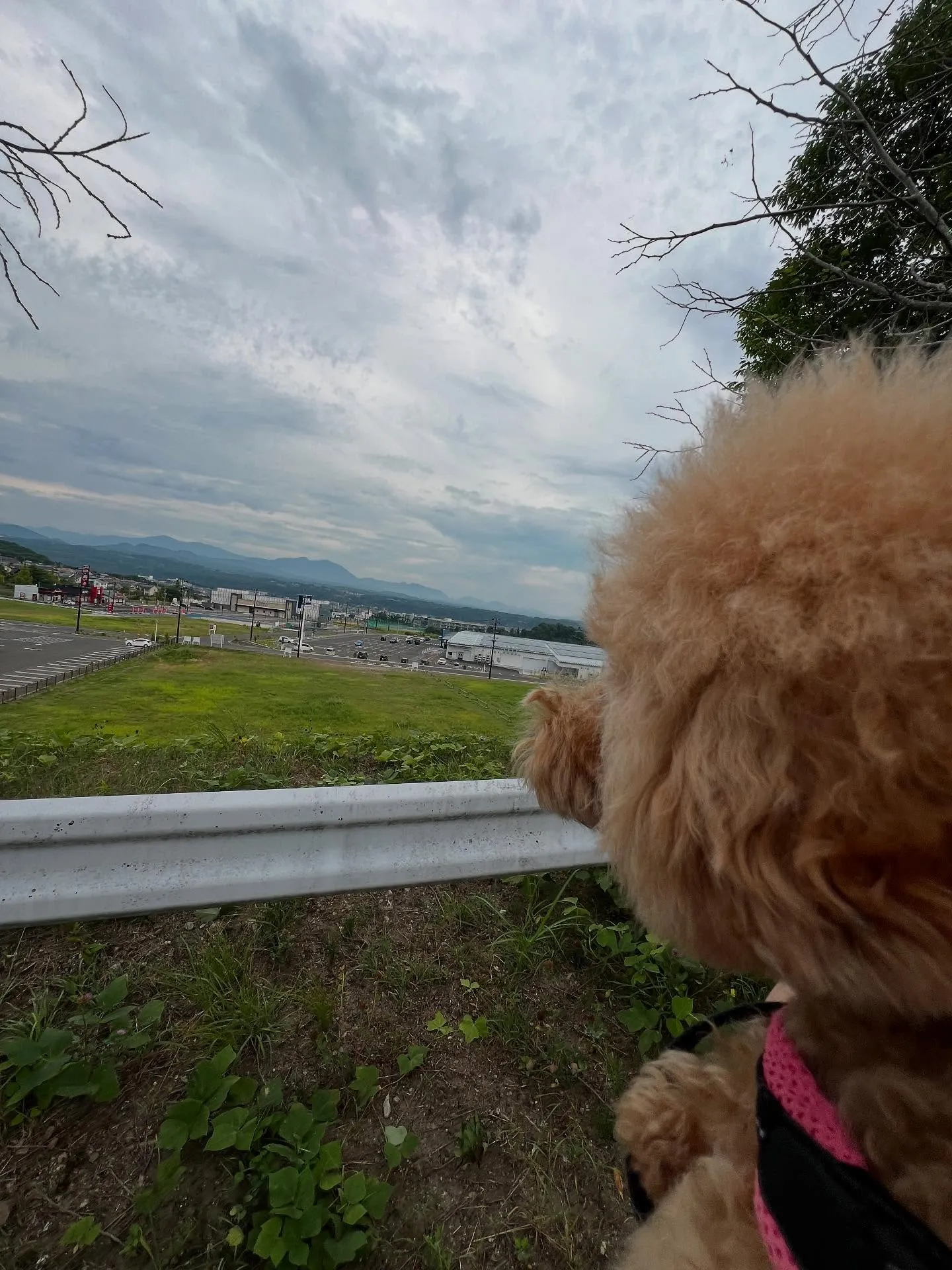 仙台での業務用エアコン更新工事🚧✨で、どこよりも快適な空間が...