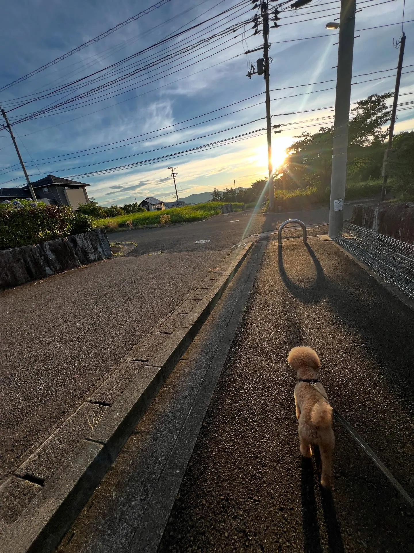 仙台の皆さん、オフィスやご自宅の快適さチェックしてますか？🌿...
