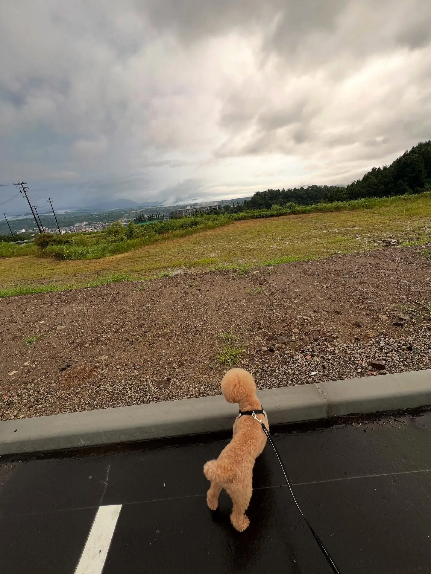 こんにちは！🌟仙台のエアコン屋です。