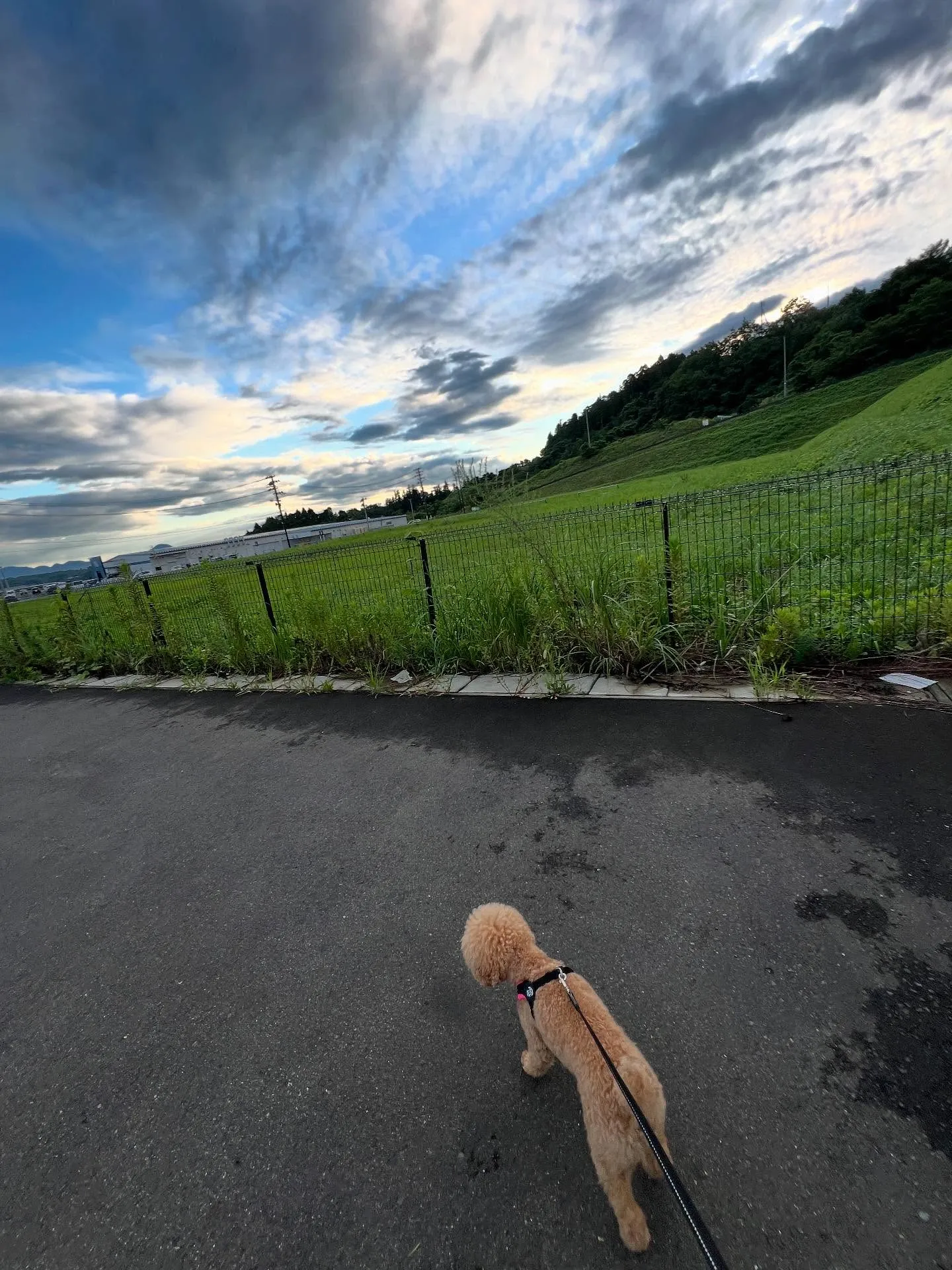 🌟【エアコンメンテナンスで快適な夏を！】🌟