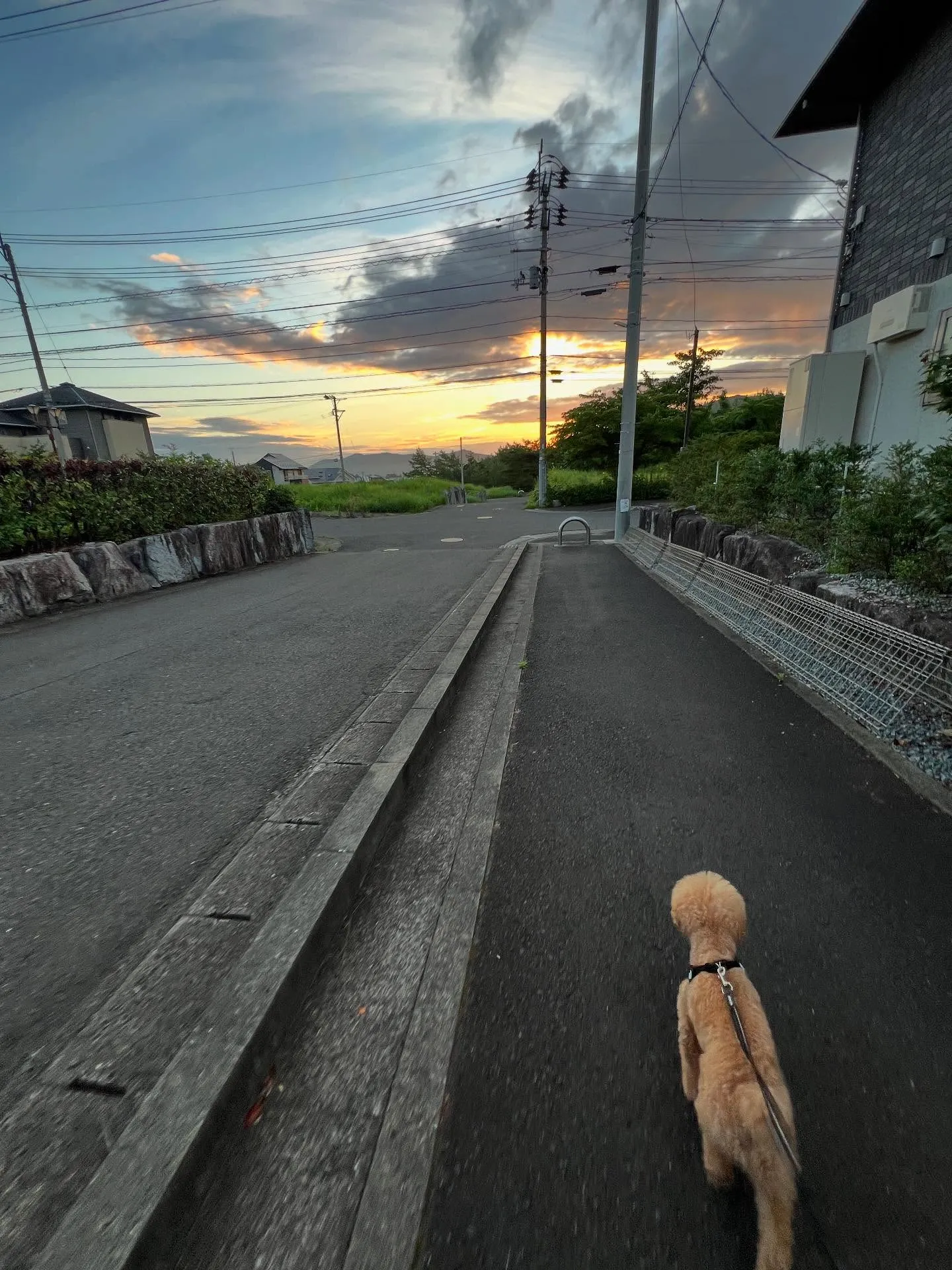 🌟 仙台での生活をもっと快適に、もっと豊かに！私たちは、経験...