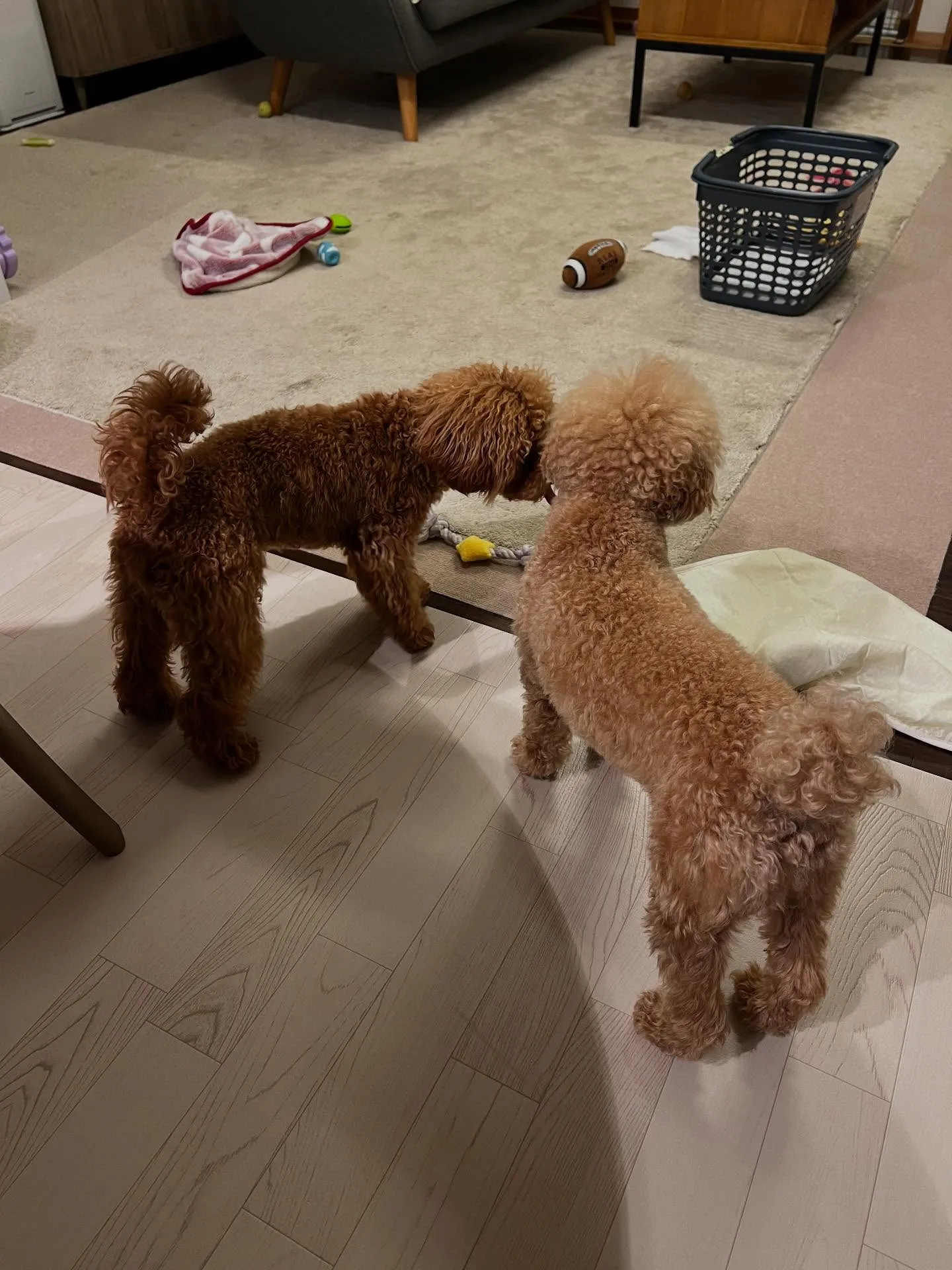 ✨仙台の皆さん、こんにちは！スキルアップしたい方必見、細野塾...