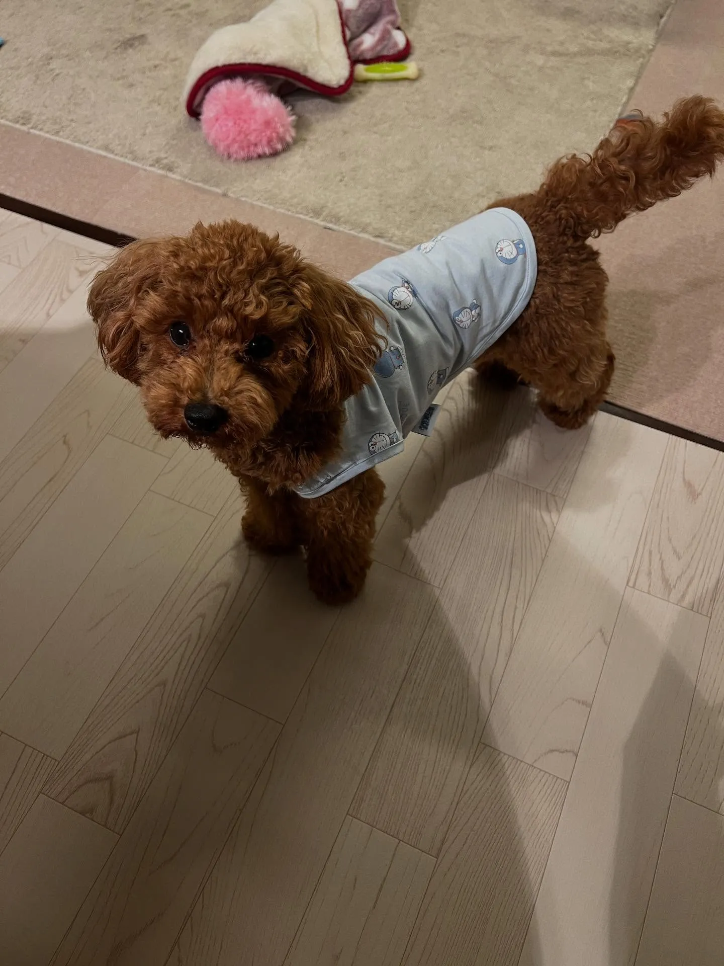 🌟 仙台愛子にあるエアコン屋さんが、まさに快適空間を提供して...