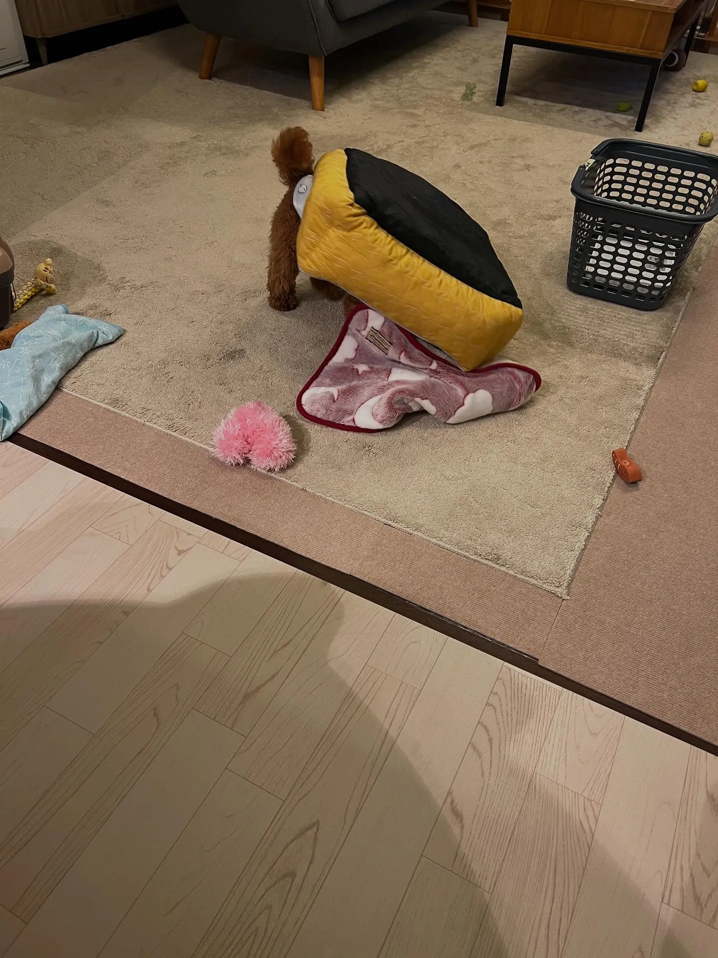仙台に住んでいるor遊びに来ている皆さん！何か新しいことにチ...