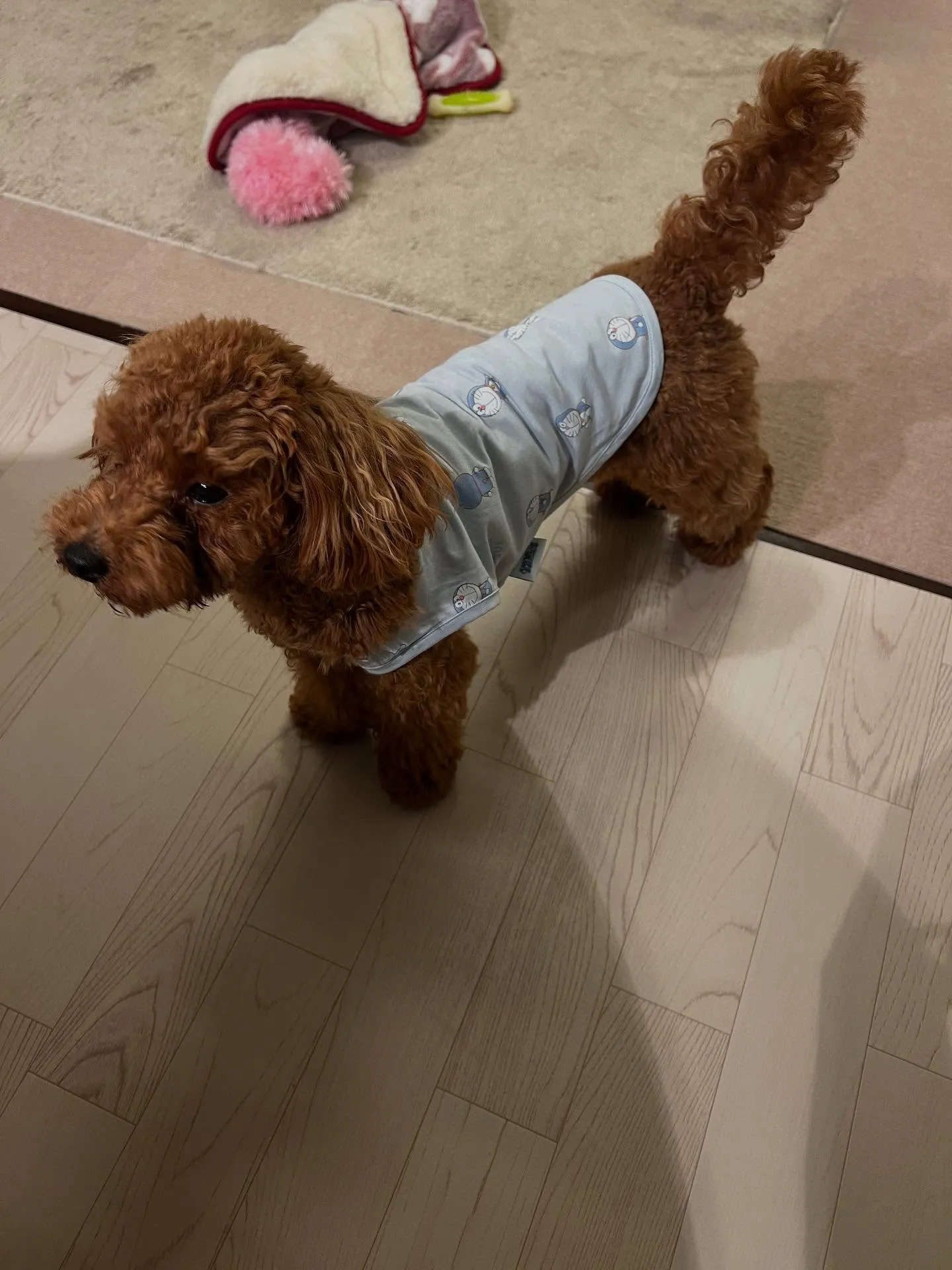 仙台に住んでいるor遊びに来ている皆さん！何か新しいことにチ...