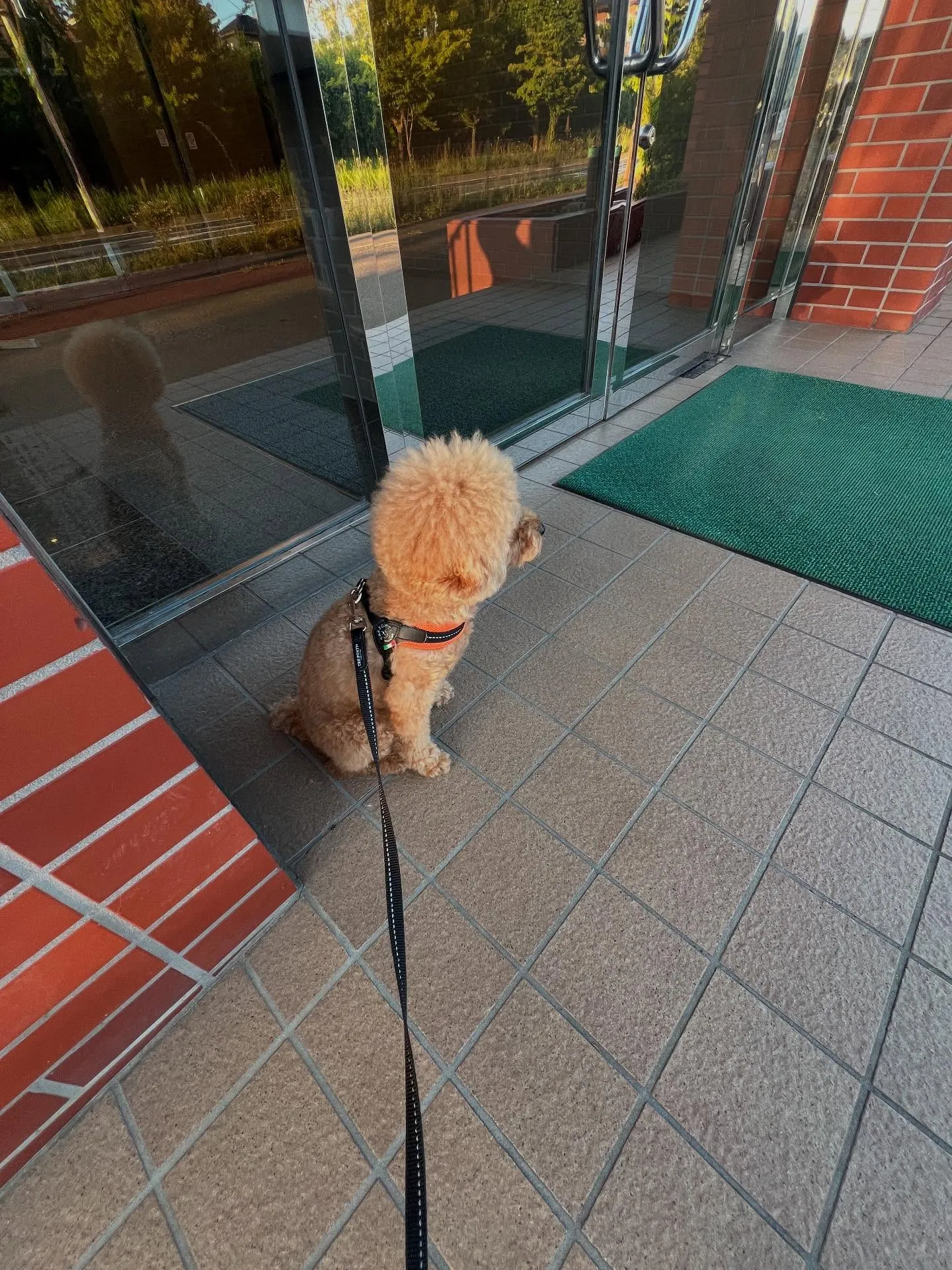 仙台の残暑を快適に過ごすためには、適切な空調管理が大切です🌞...