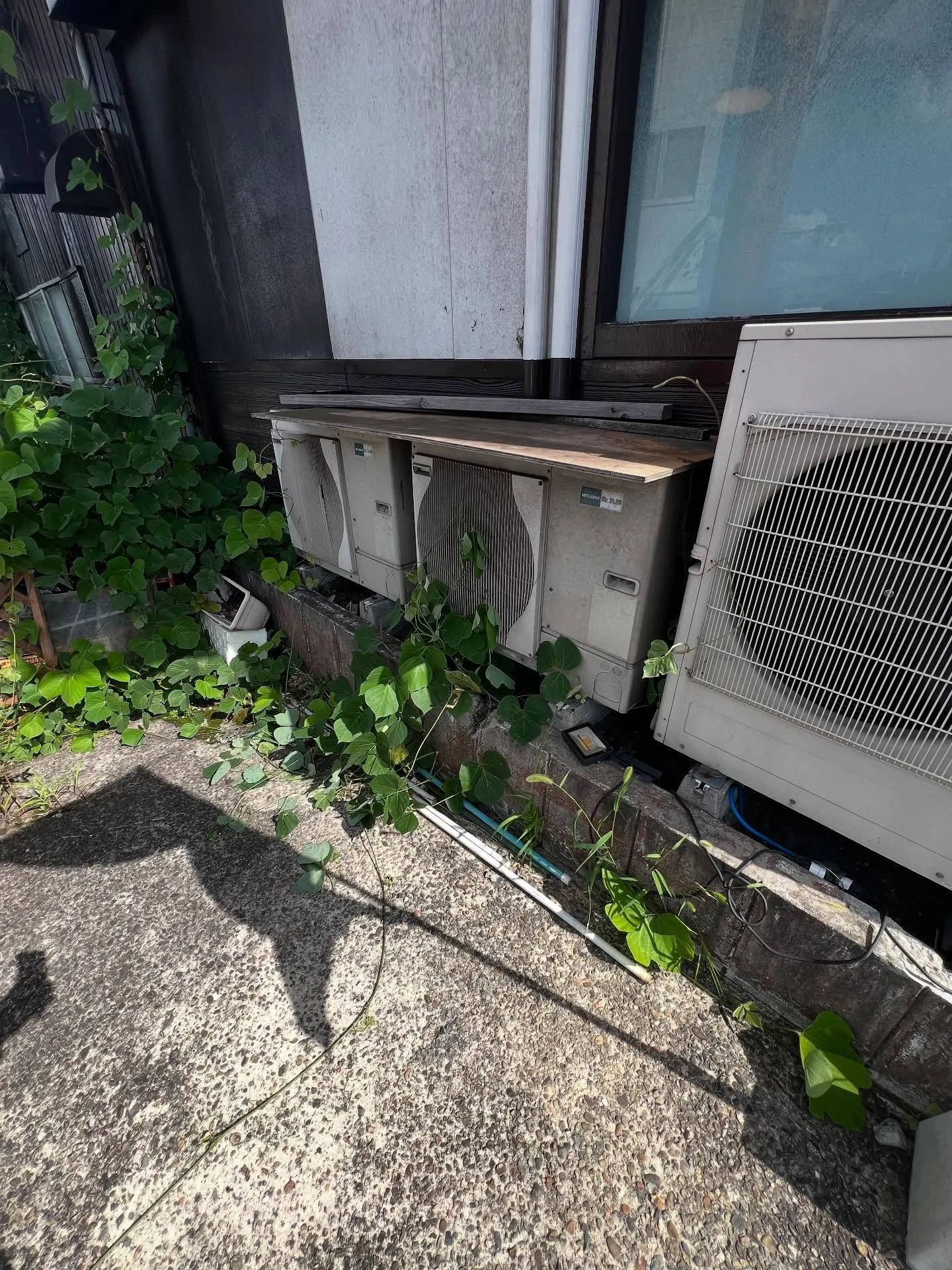 仙台でもまだまだ暑い日が続いていますね🌞💦。