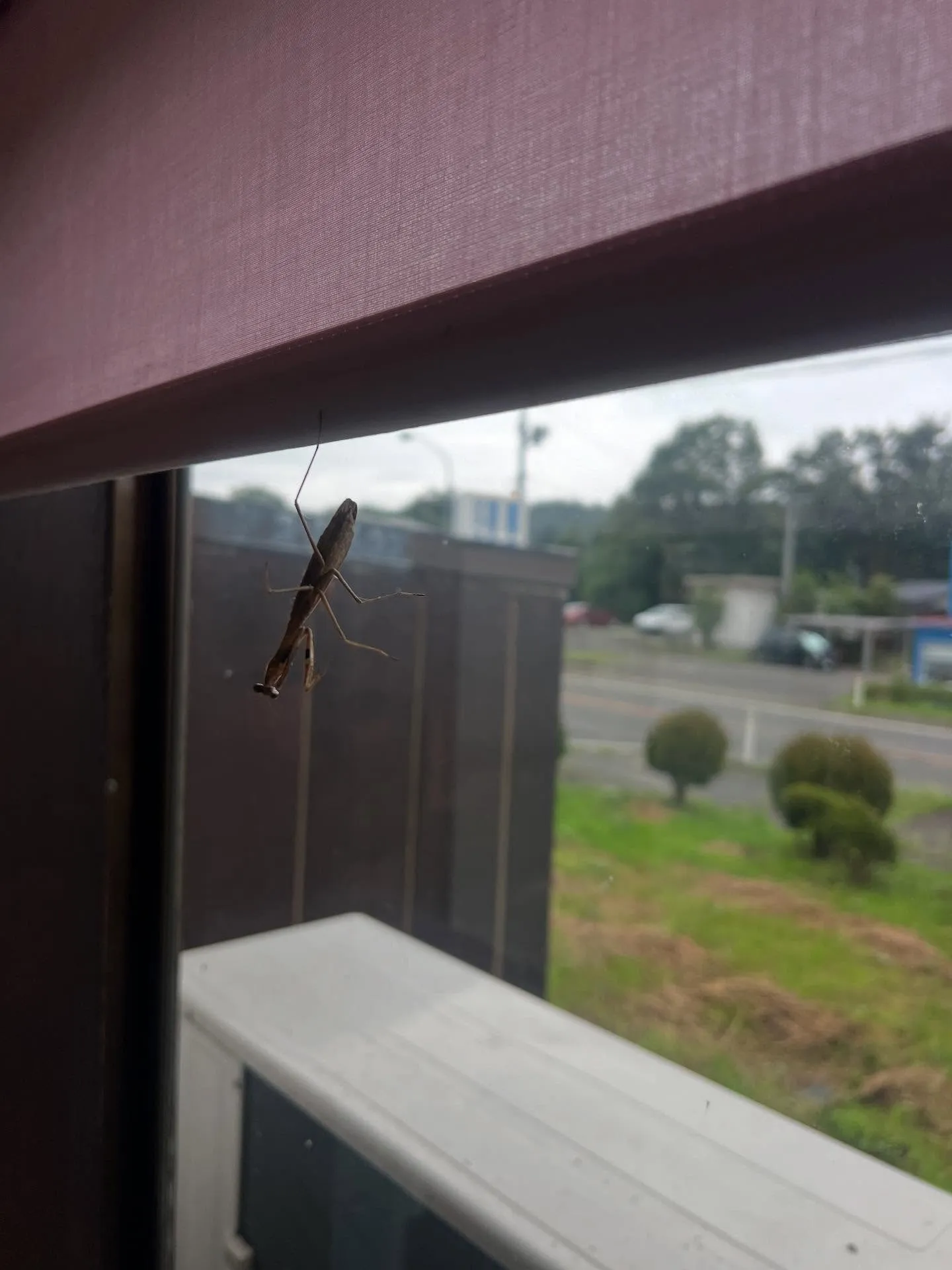 仙台での快適な暮らしをお望みの皆さまへ🌿✨。