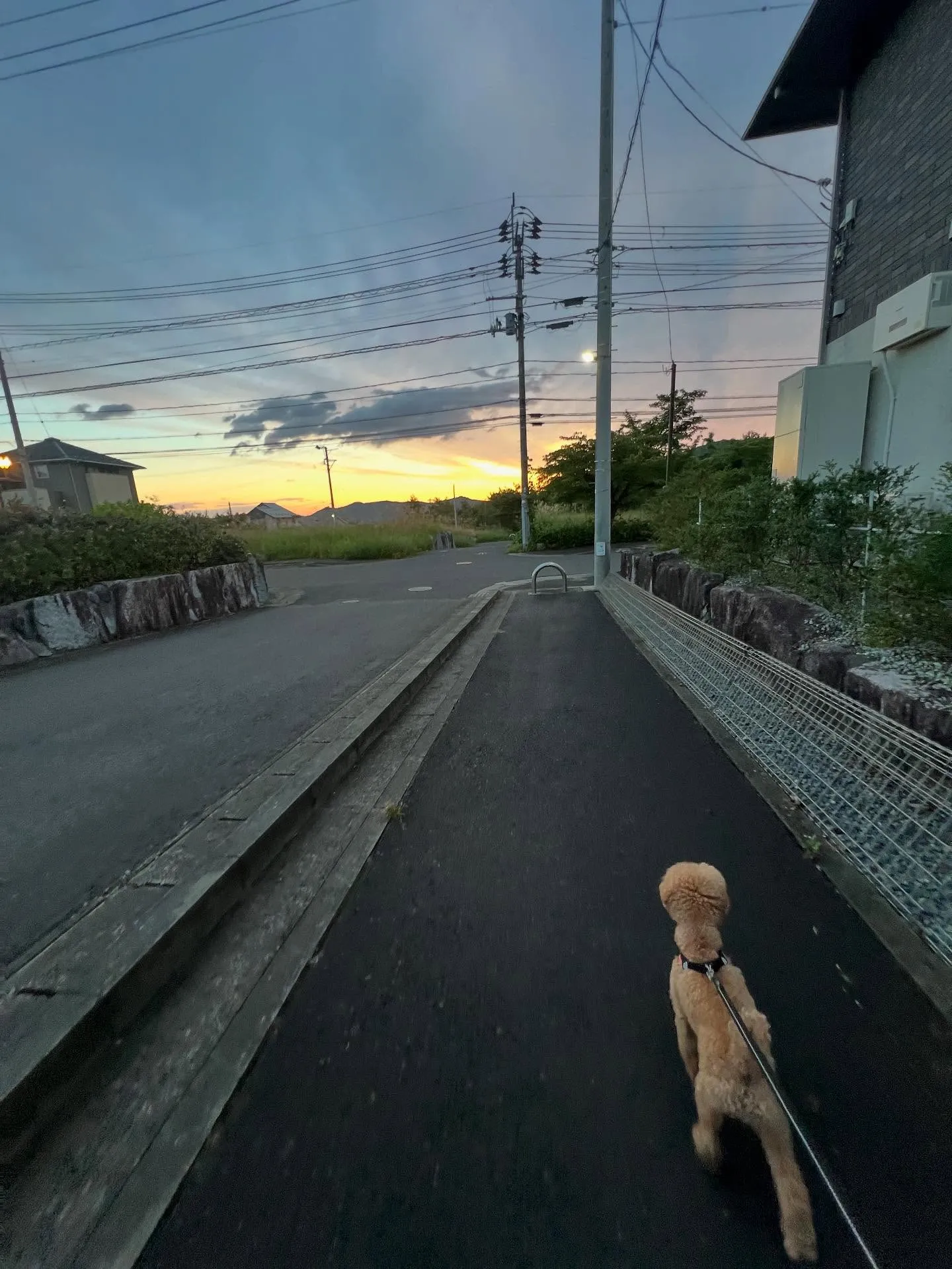 宮城県でエコキュートをお考えの皆さまに朗報です！🌱エコキュー...