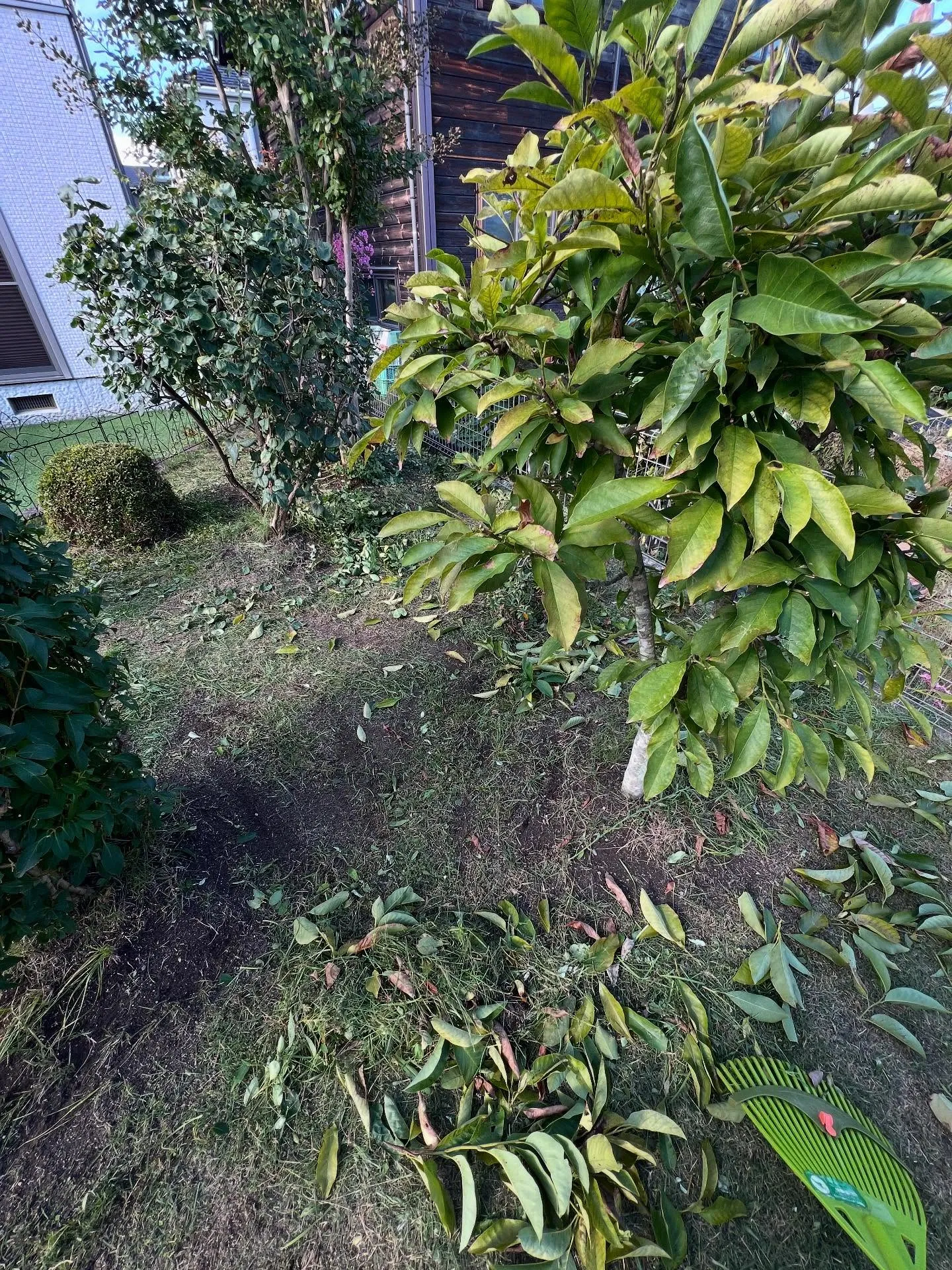 仙台の夏が終わり、秋の穏やかな季節が訪れました🍁。