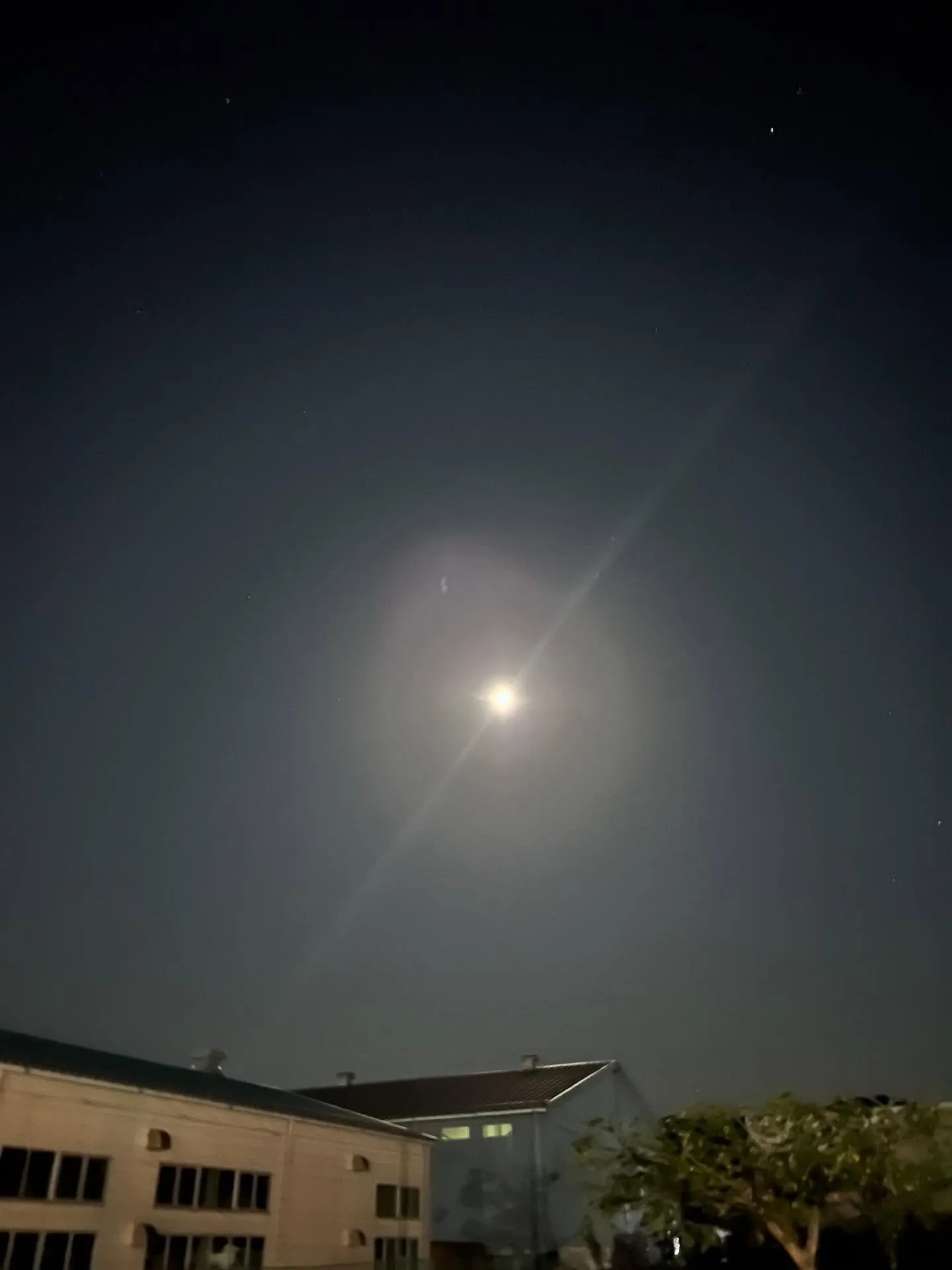 仙台何でも相談所。
