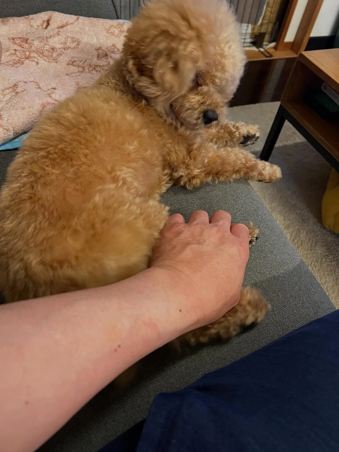 仙台でエアコン点検やドレン配管点検の必要性を感じていますか？...