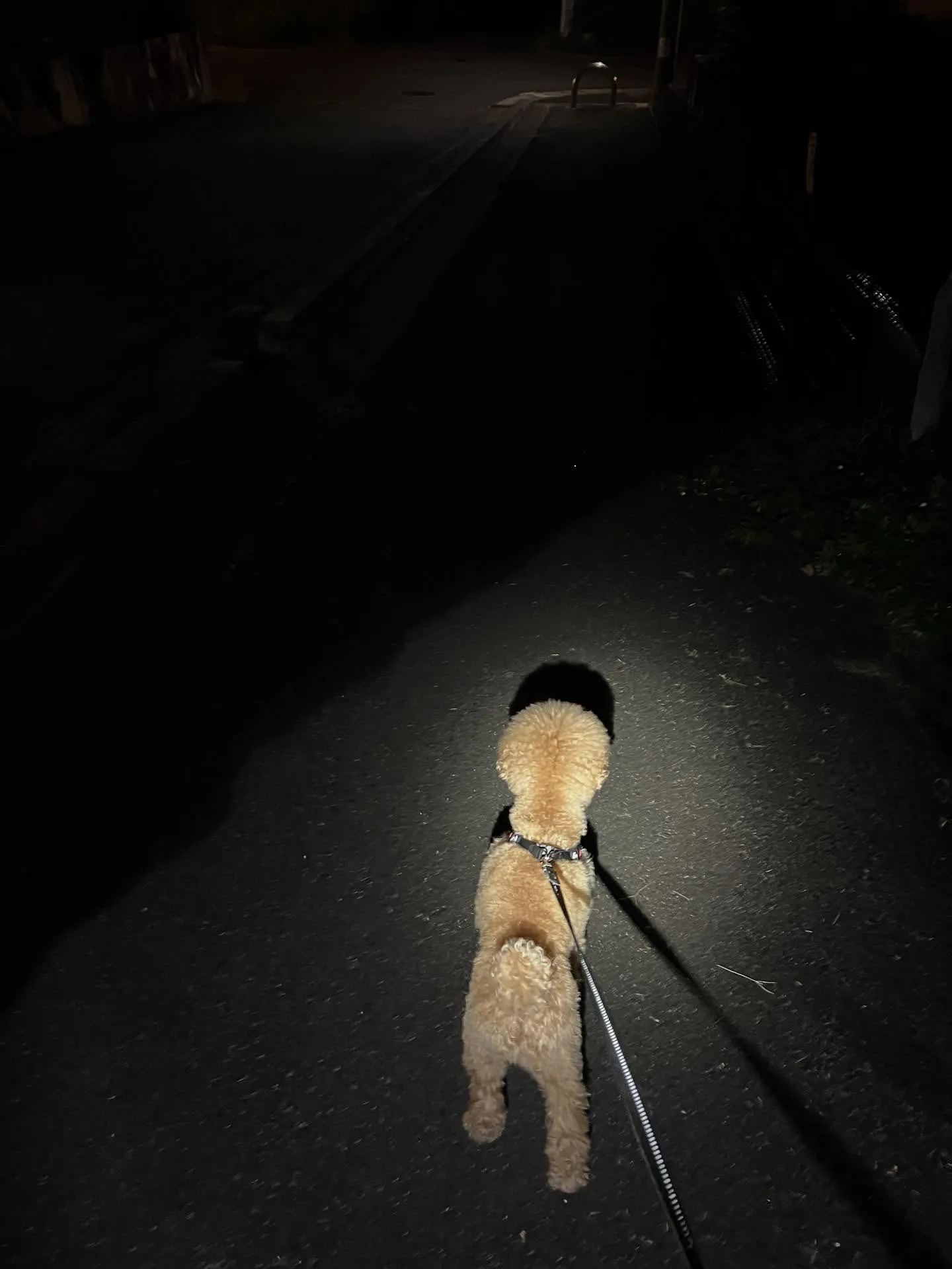 仙台エリアで新しいキャリアを築きませんか？🏯✨ 現在、仙台で...