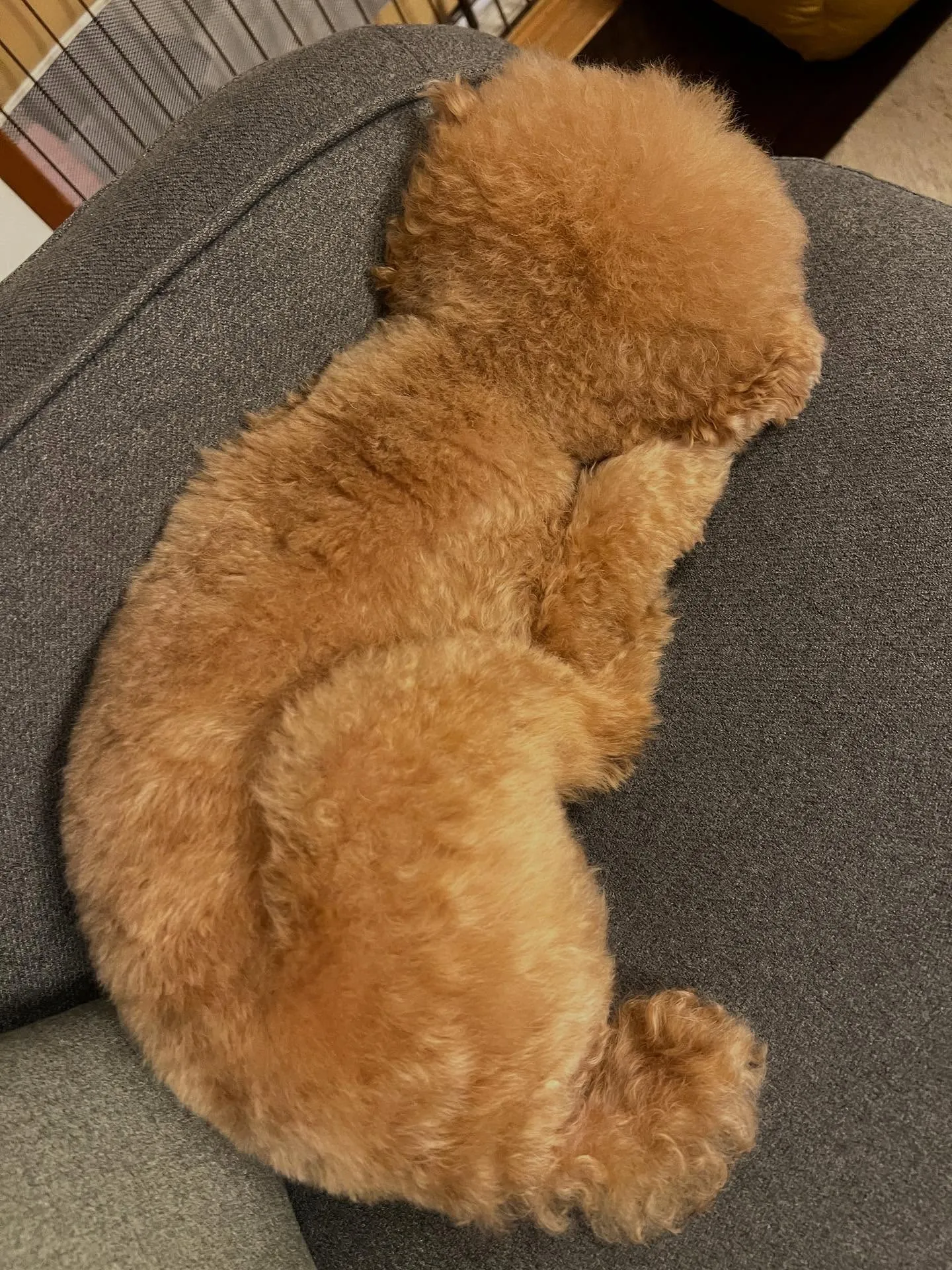 仙台のみなさん、もうエアコンの切り替え時期が来ますね！🌞❄️...