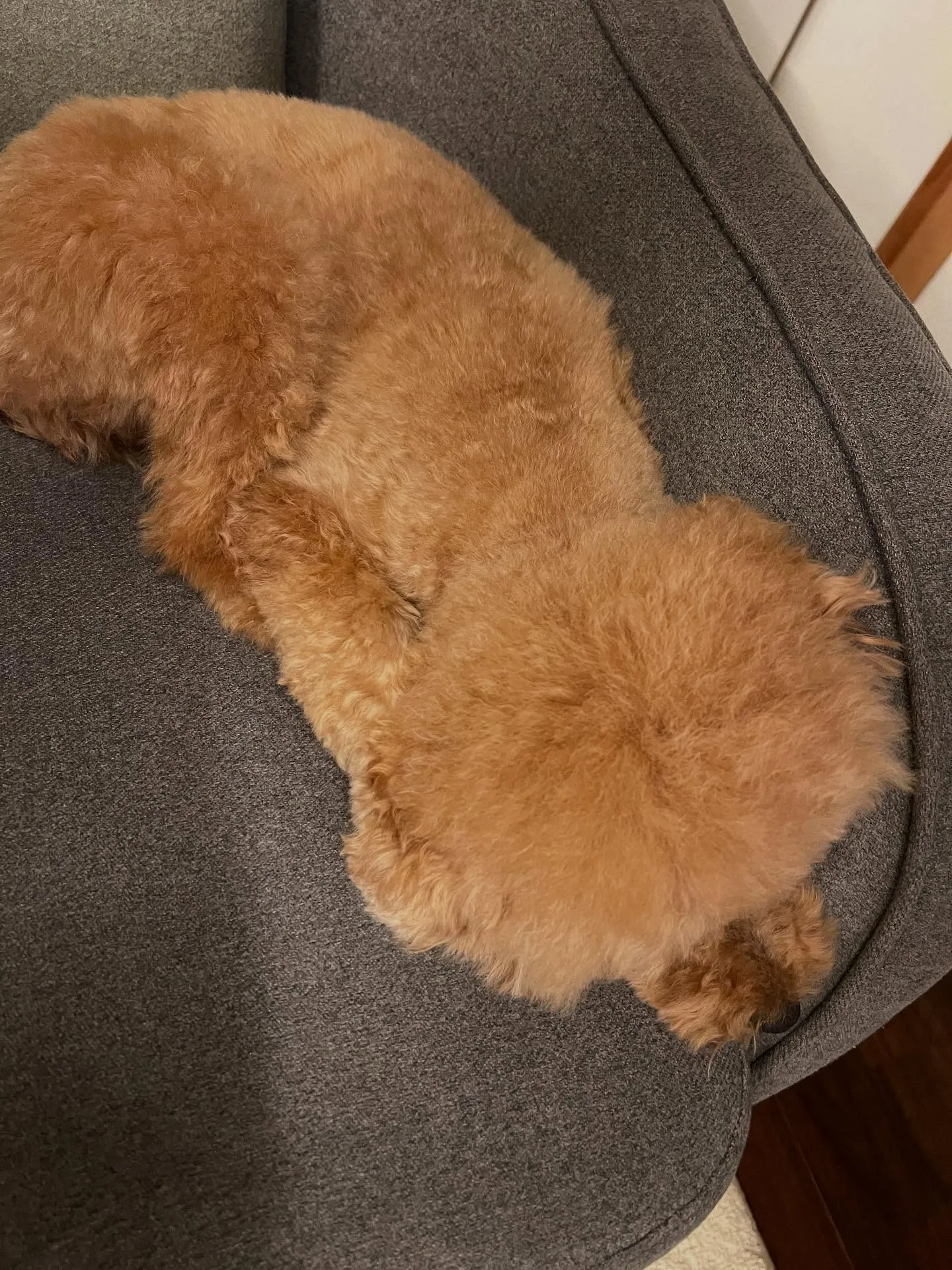 仙台のみなさん、もうエアコンの切り替え時期が来ますね！🌞❄️...