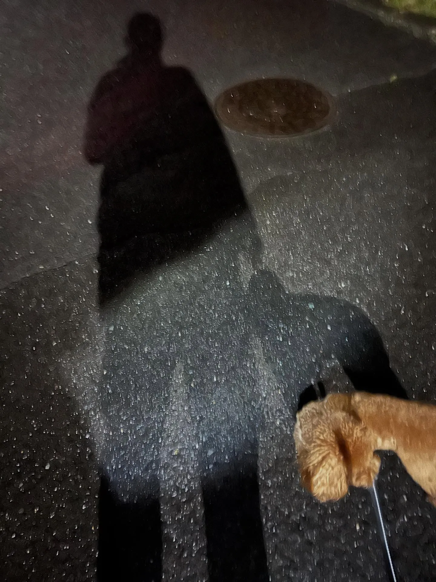宮城県でエアコンを使っている皆さん、お待たせしました！🌬️フ...