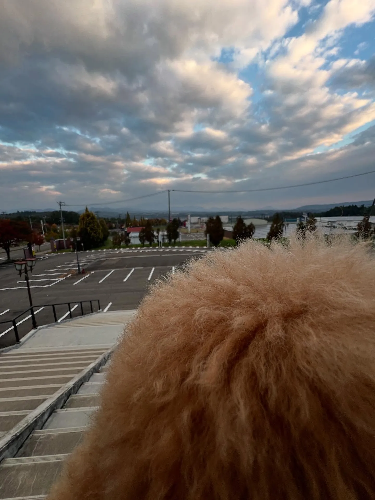 仙台の皆様、こんにちは!🌸仙台エリアでエアコンの点検やオール...