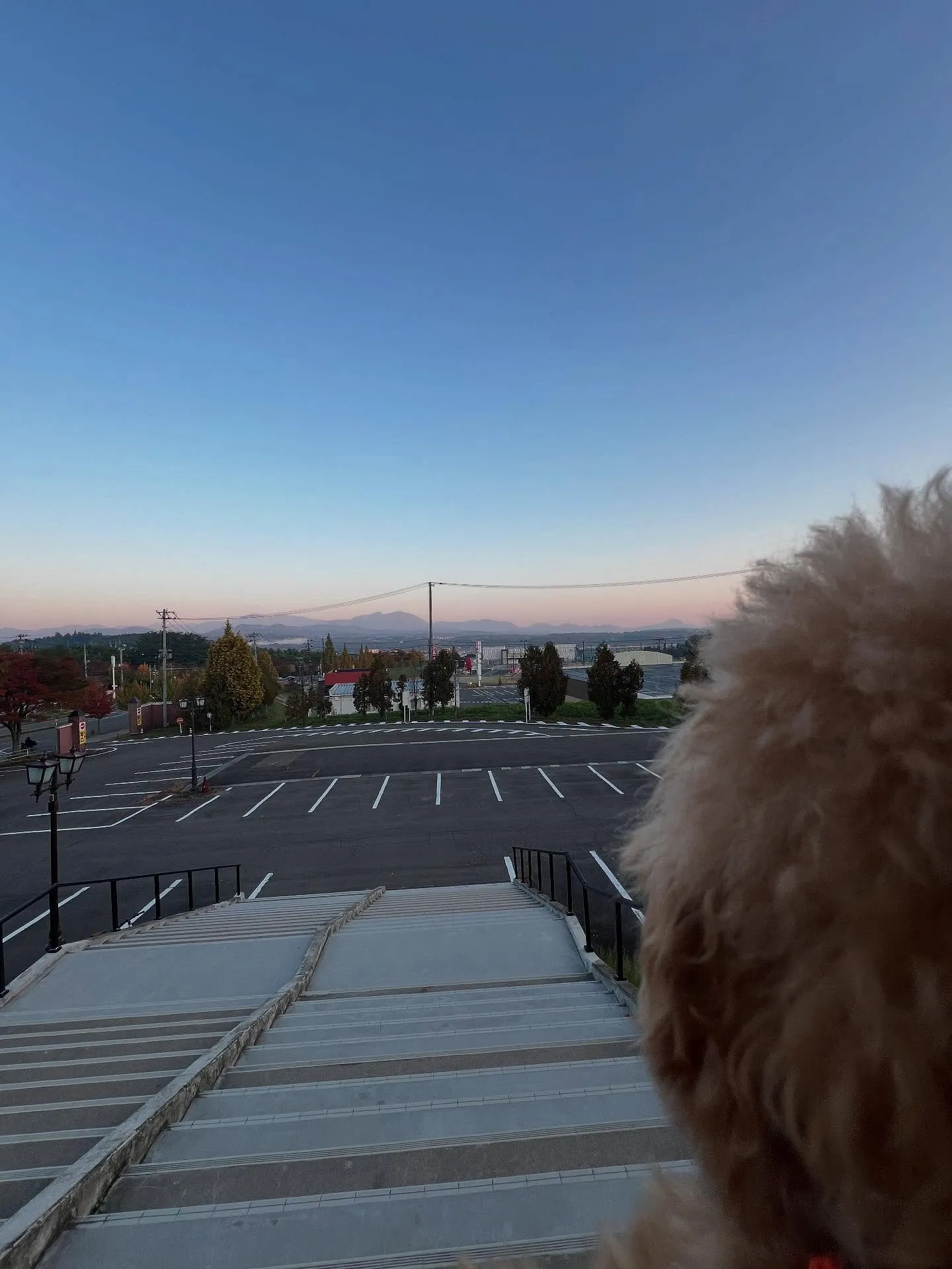 仙台でエアコン職人を目指してみませんか？🌟宮城県の「細野塾」...