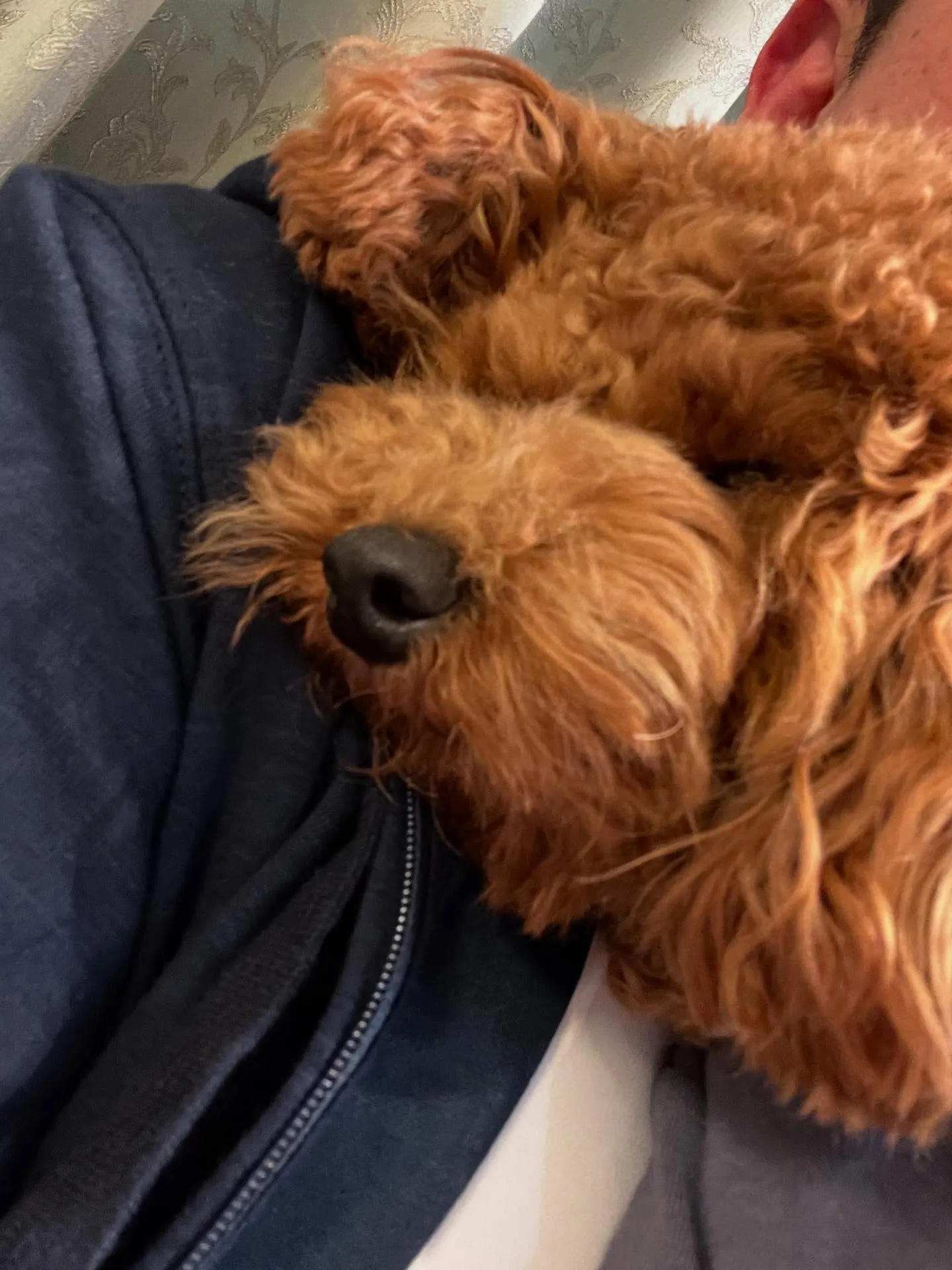 仙台エリアでスキルアップを目指す方に朗報です!🌟「仙台エアコ...