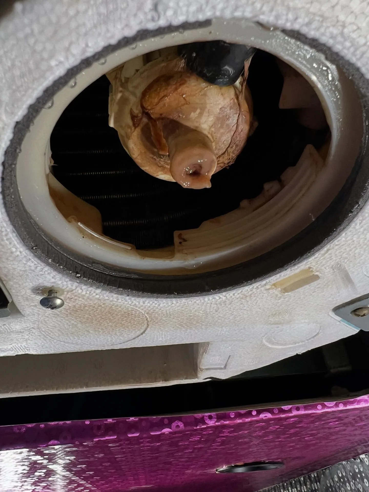 仙台エリアでスキルアップを目指す方に朗報です!🌟「仙台エアコ...