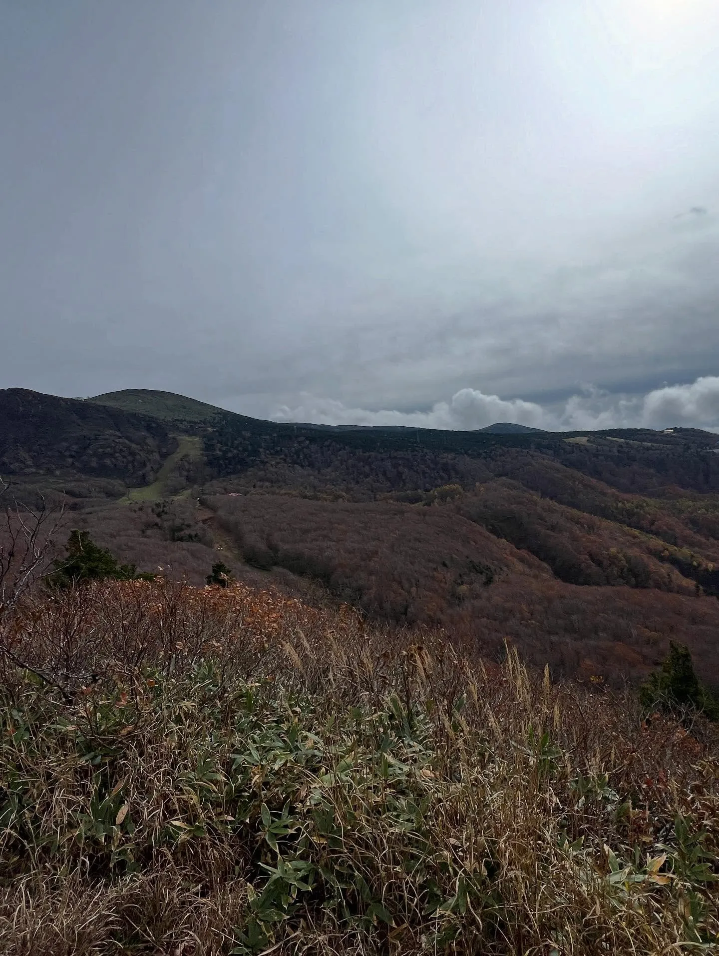 🌟皆さんこんにちは!仙台の頼れる何でも相談所をご紹介しますよ...