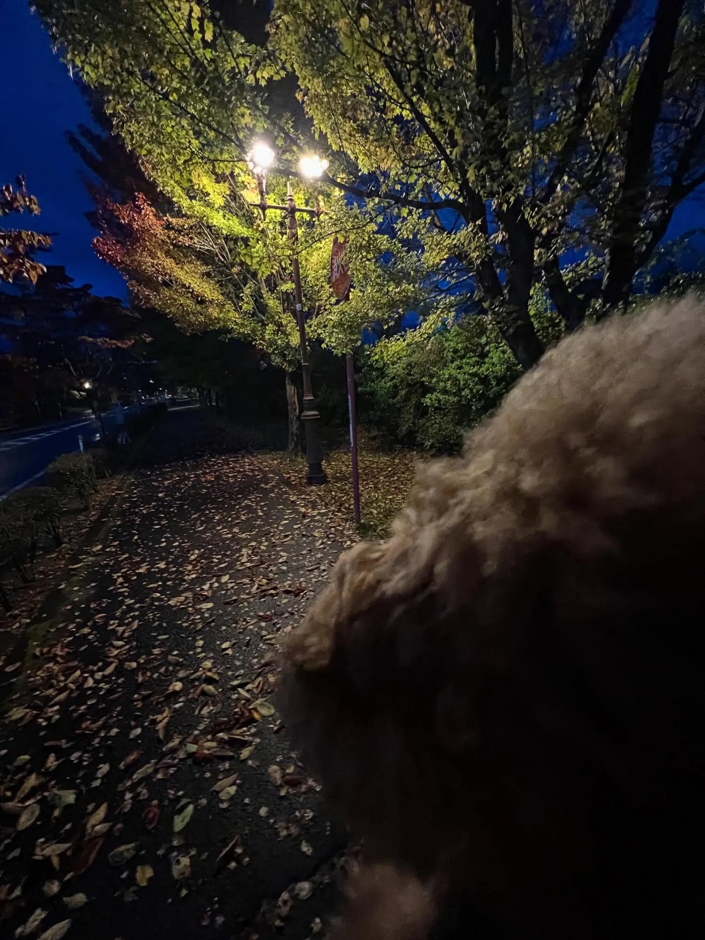 当社では、仙台における建設プロジェクトの不安や修理会社様、同...