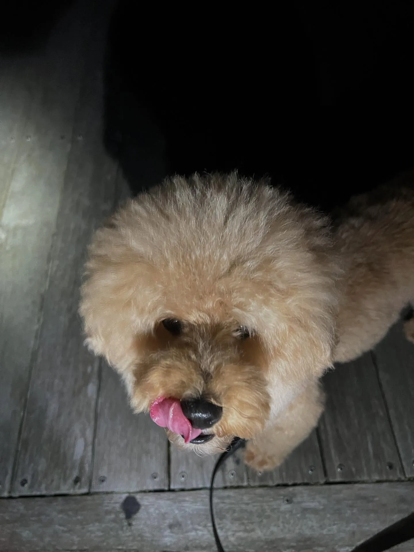 仙台の皆さん!👋 もしエアコンが壊れちゃったり、設備工事が必...