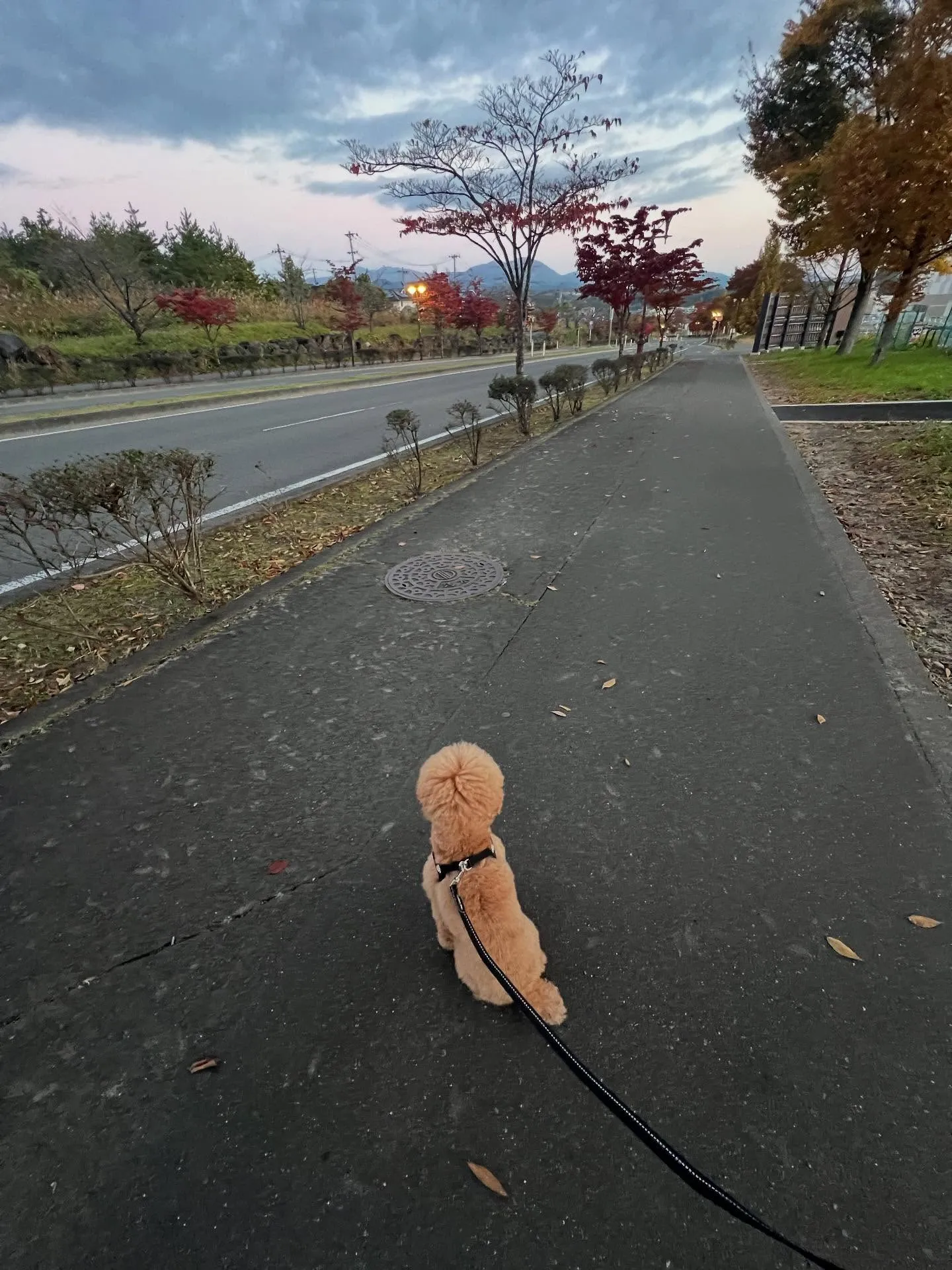 仙台エアコン塾👏 エアコン工事のプロフェッショナルになるため...
