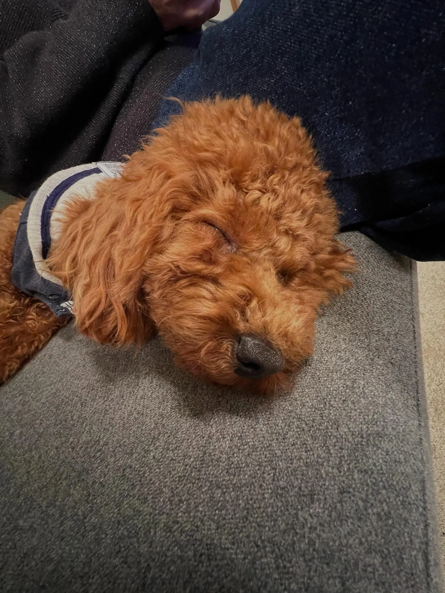 仙台でエアコンの無料引き取りをお考えの方、ご注意ください!⚠...