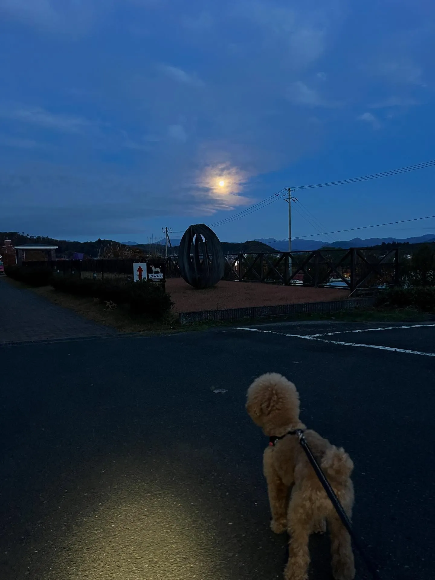暑い夏も寒い冬も、快適な空間を保ちたいですよね?🌞❄️そこで...