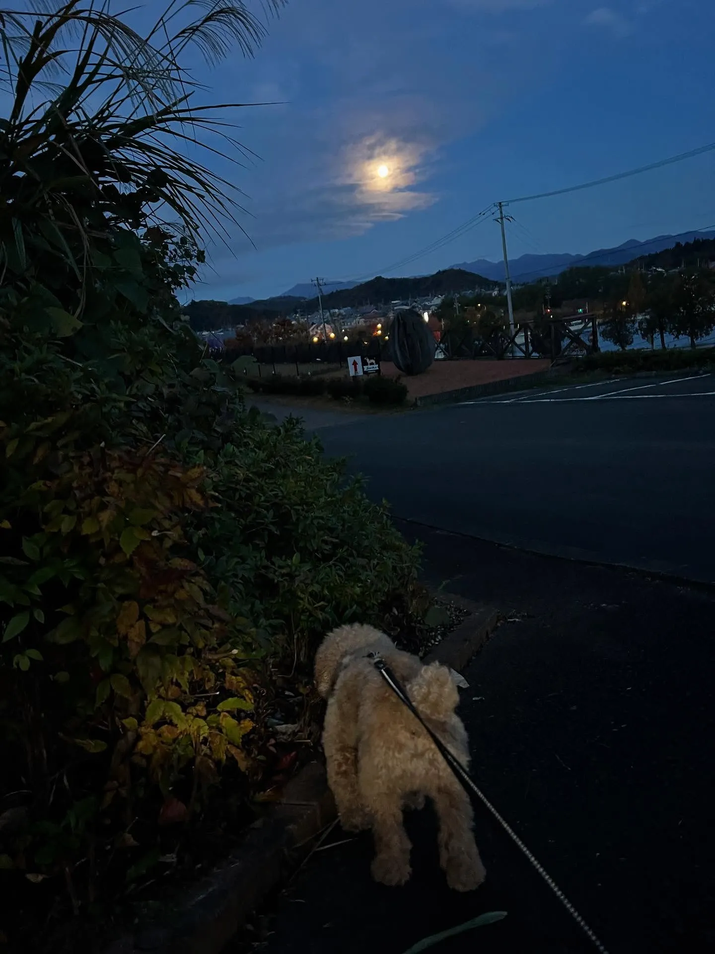 暑い夏も寒い冬も、快適な空間を保ちたいですよね?🌞❄️そこで...