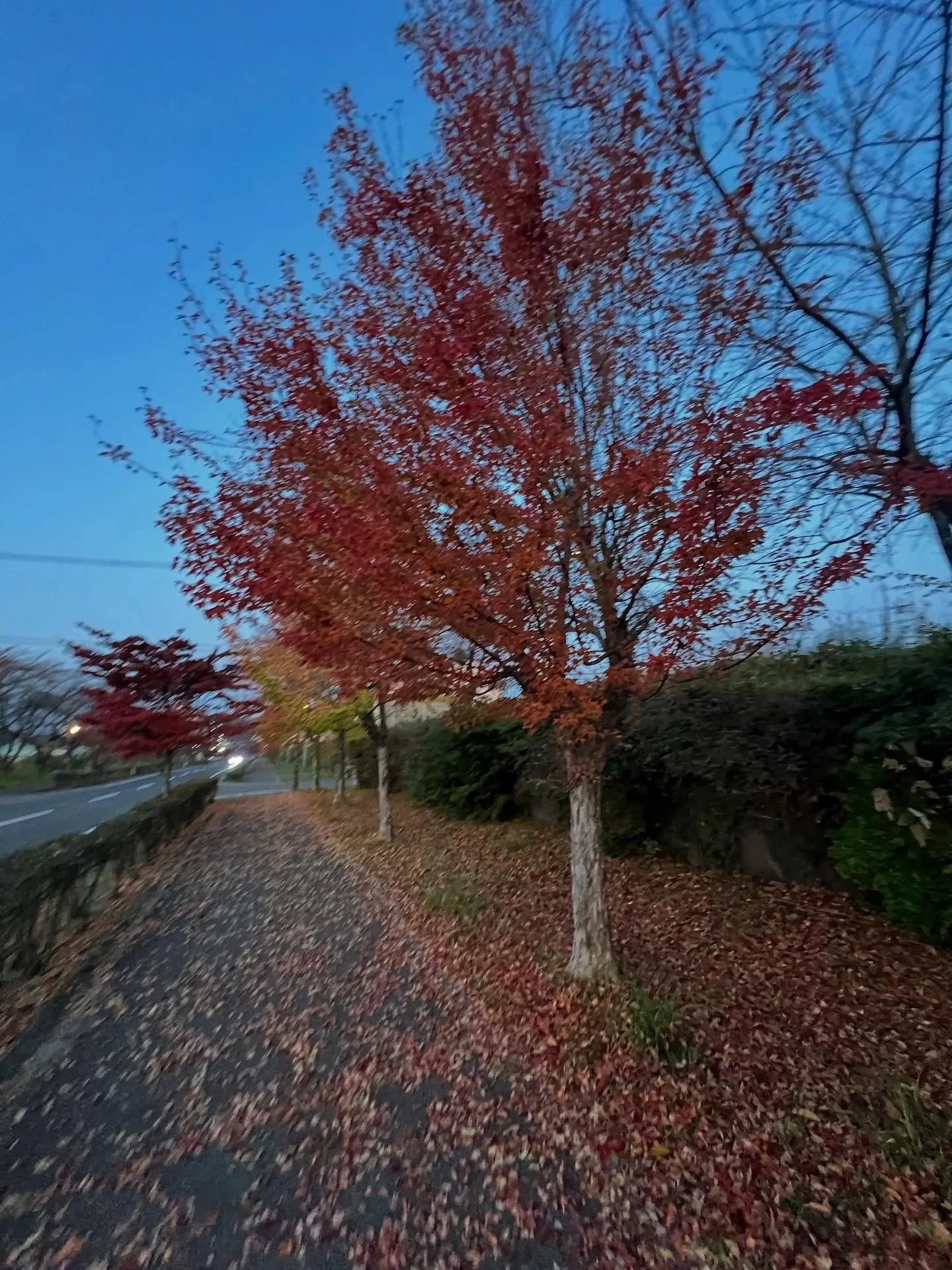 仙台エアコンリースの登場で、宮城の皆さんに朗報!🌟快適空間と...